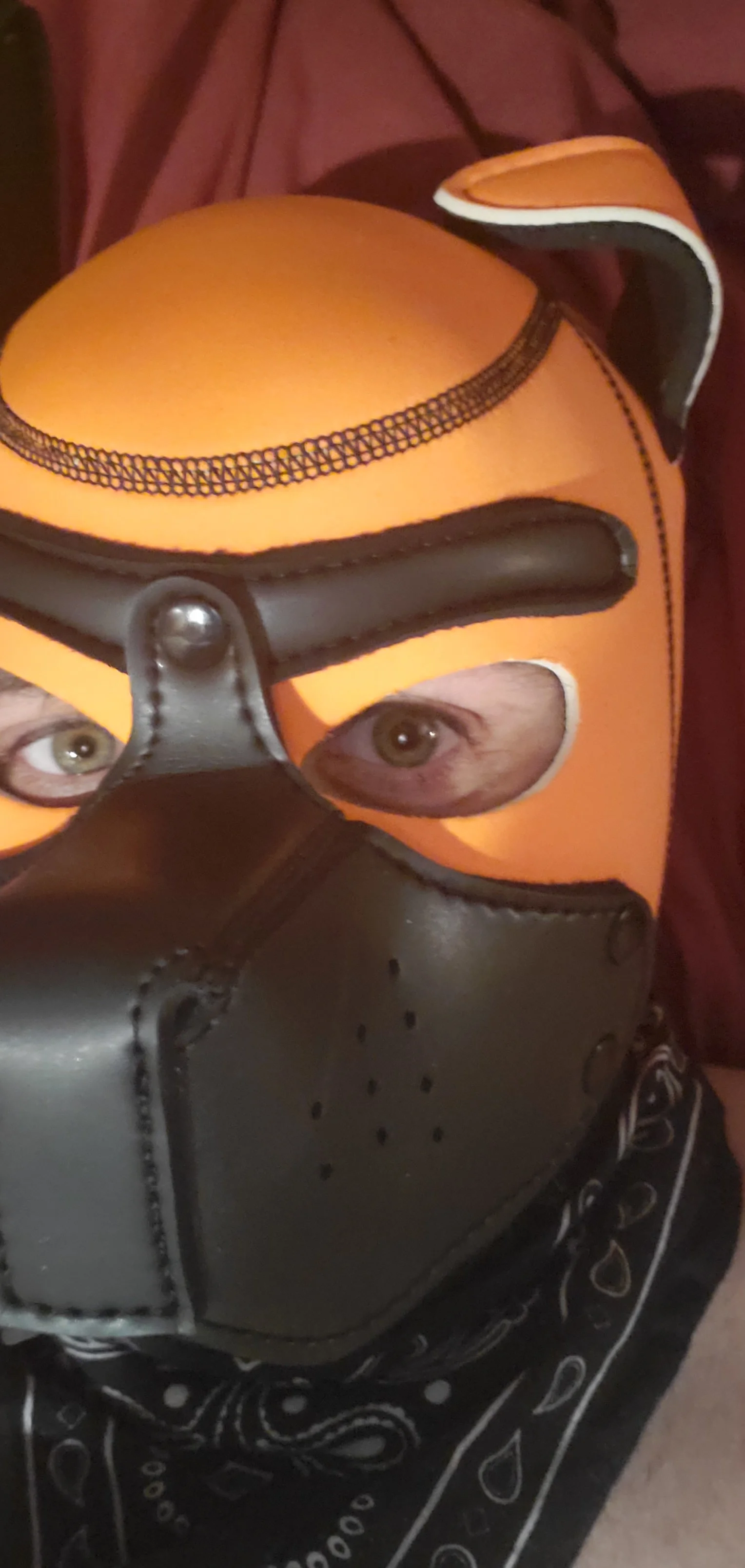 Dakota OnlyFans leaked - dakota.day199 nude pics and videos free