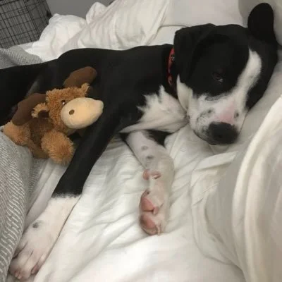 Ava Cherry OnlyFans leaked nude photo 4 - avacherrry naked pics free download