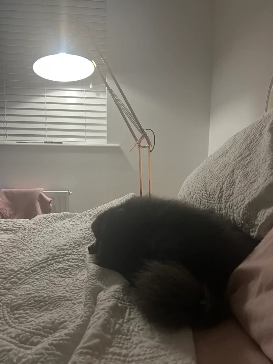 The Coco Louise OnlyFans leaked nude photo 1 - coco_louise_x naked pics free download