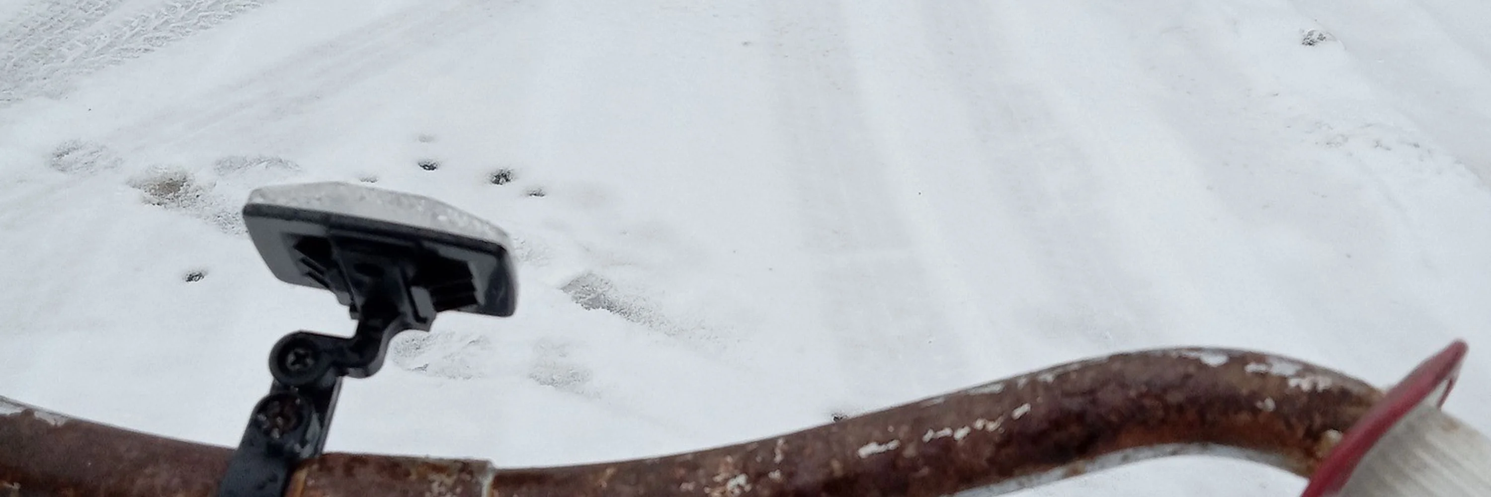 Estelle 🍑 OnlyFans leaked nude photo 1 - estellewa naked pics free download