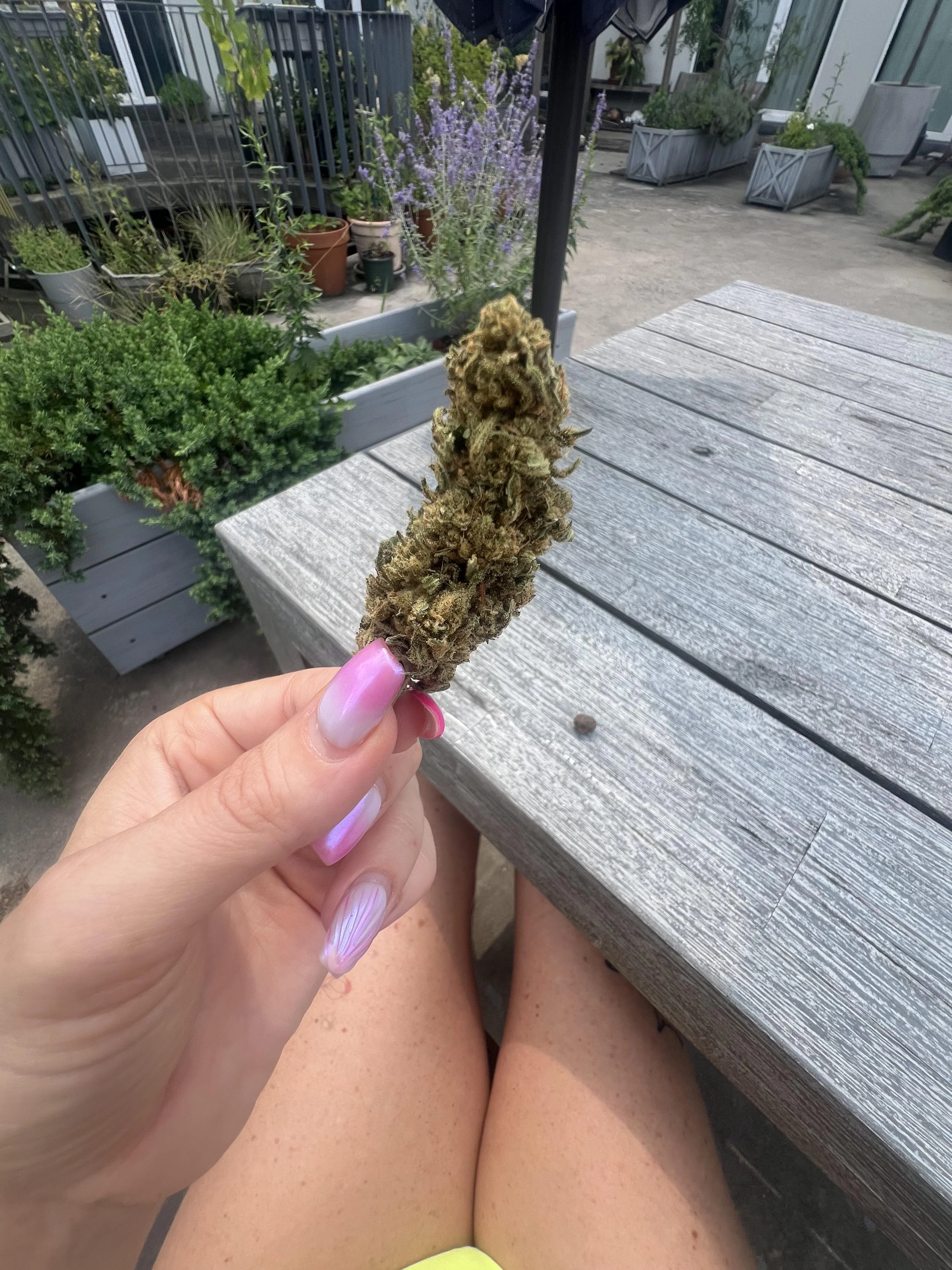 jane harley's 420 pleasures OnlyFans leaked nude photo 3 - janeharley420 naked pics free download