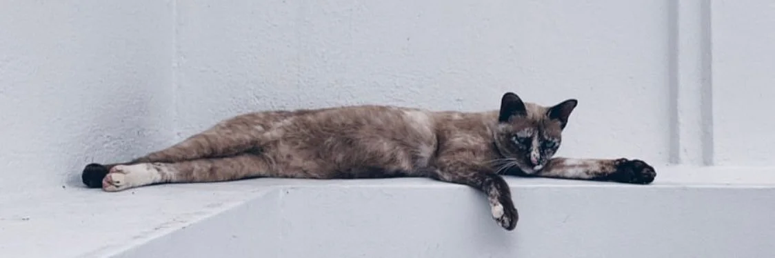 lai91640829 OnlyFans leaked nude photo 1 - lai91640829 naked pics free download