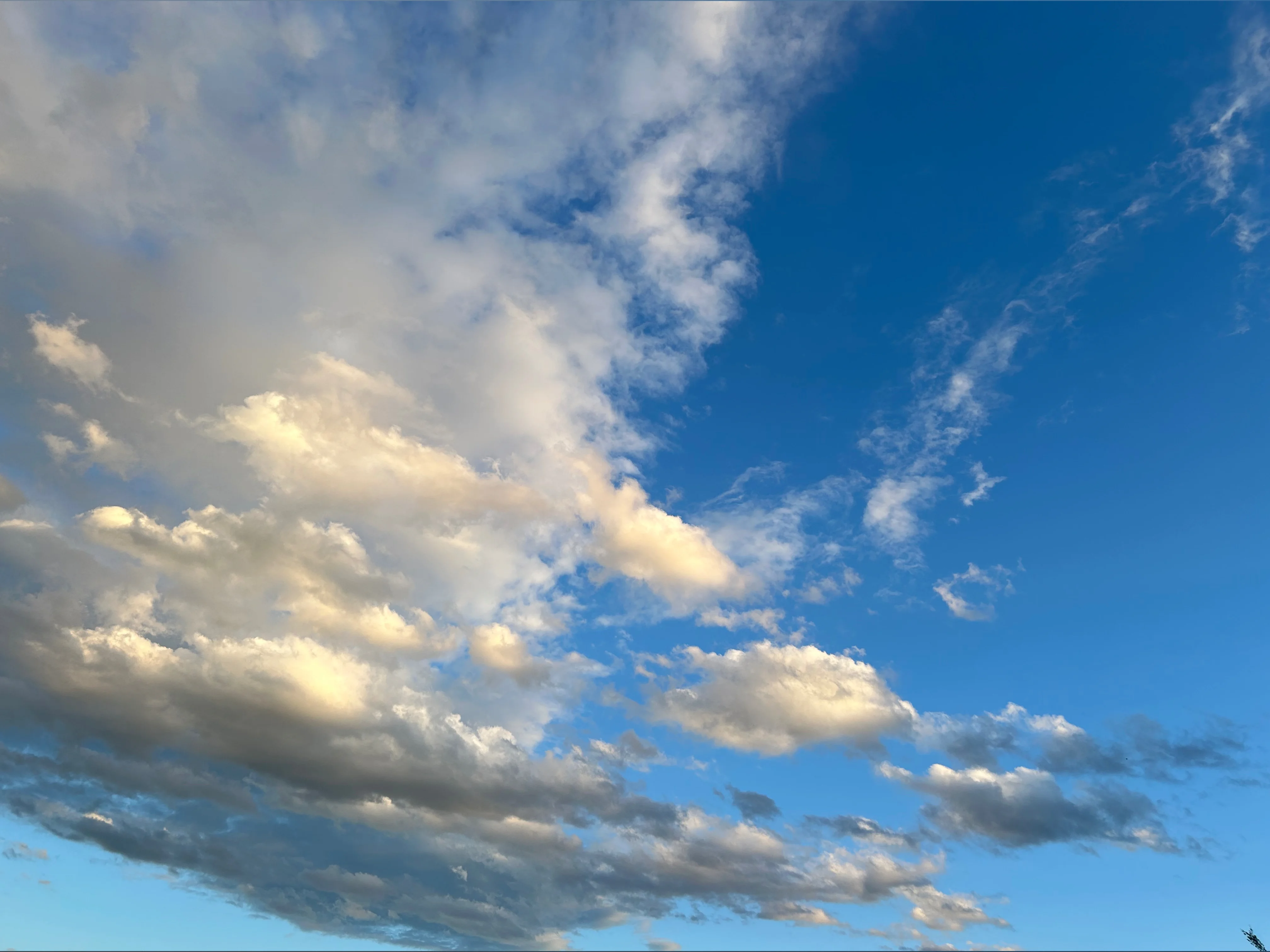 ur favorite;) OnlyFans leaked nude photo 1 - lollipopgirl999 naked pics free download