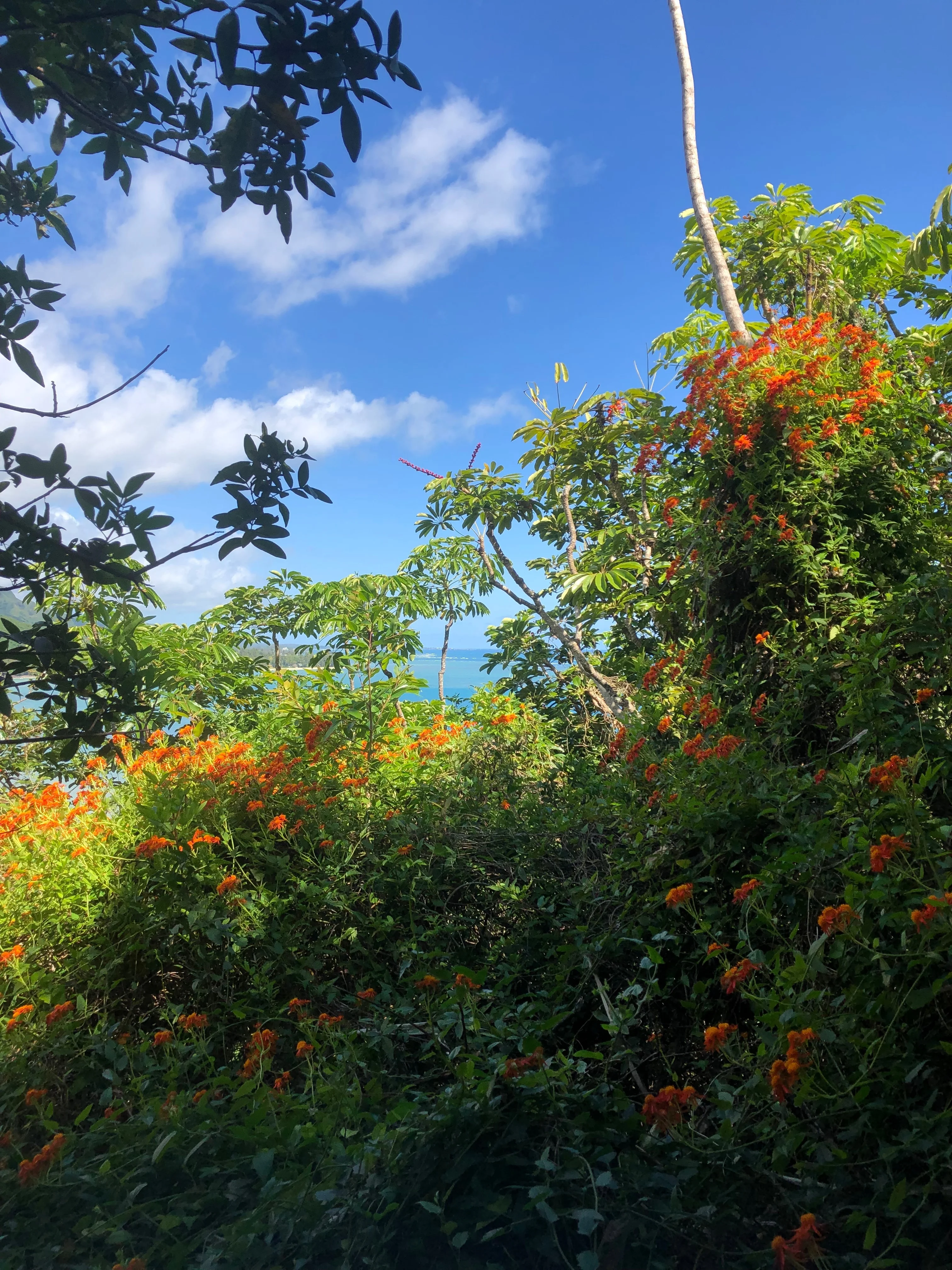 Baby girl OnlyFans leaked nude photo 3 - mayyouneverfindout naked pics free download