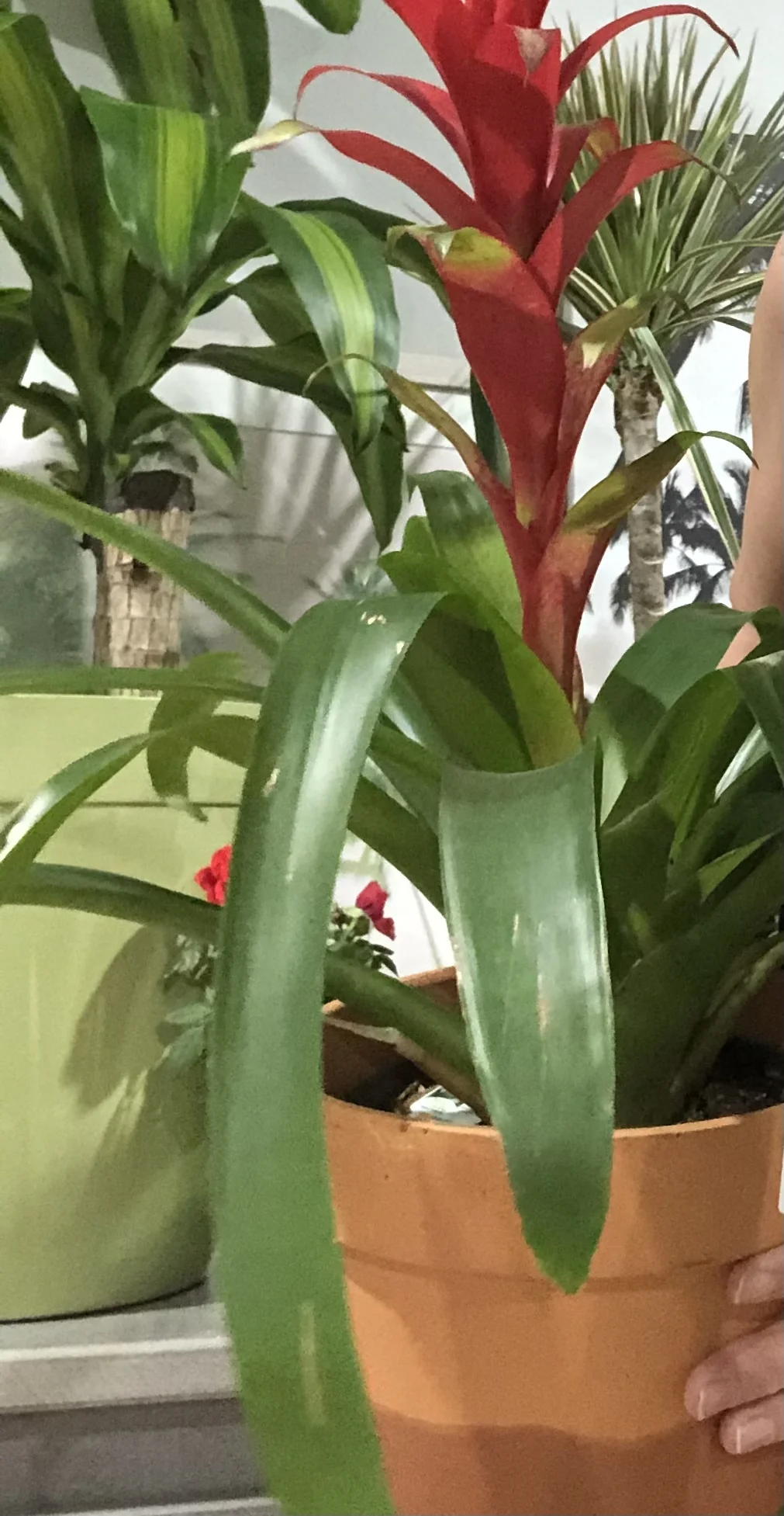 ThePlantFammm OnlyFans leaked - sa7648 nude pics and videos free