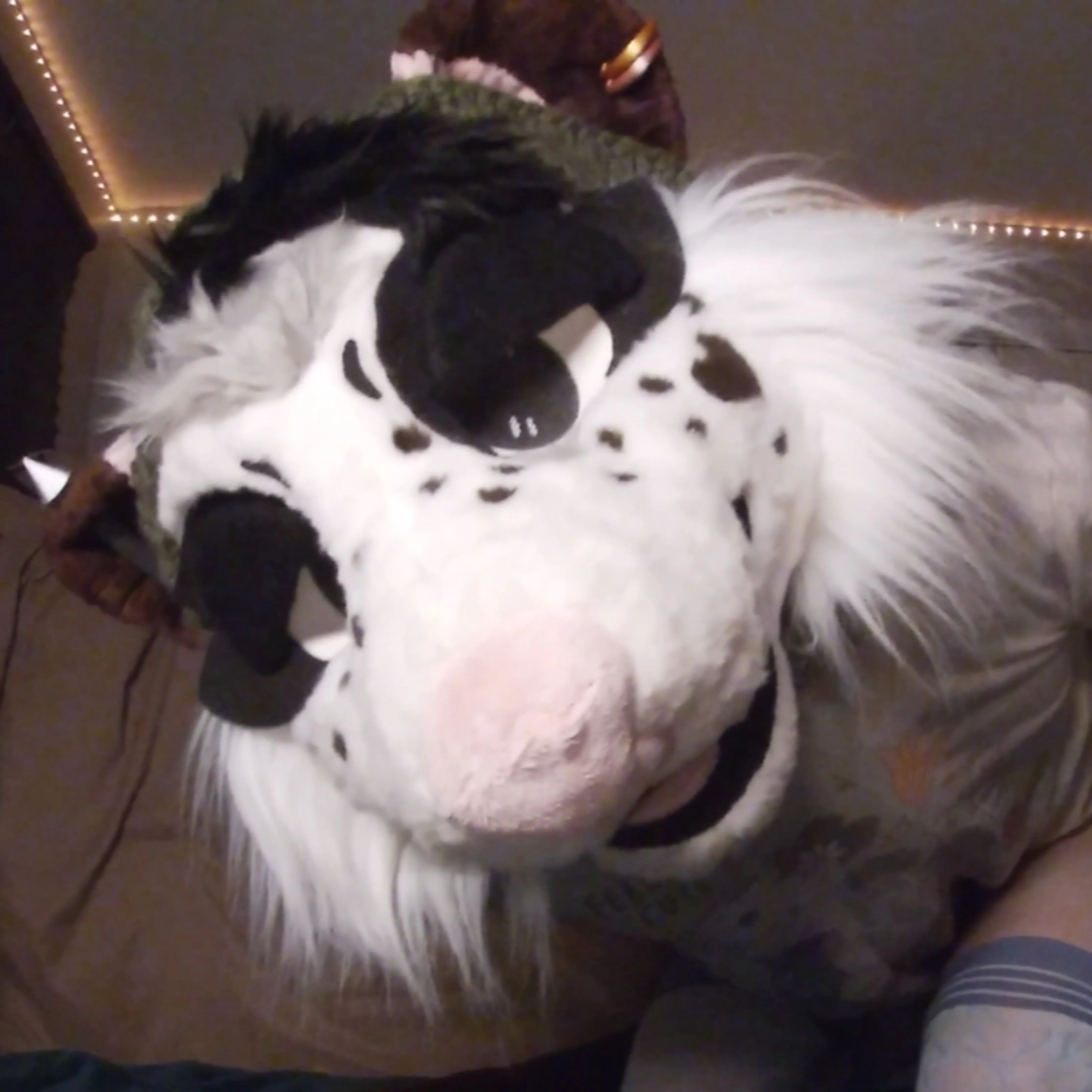 Baja Opossum OnlyFans leaked - bajaopossum nude pics and videos free