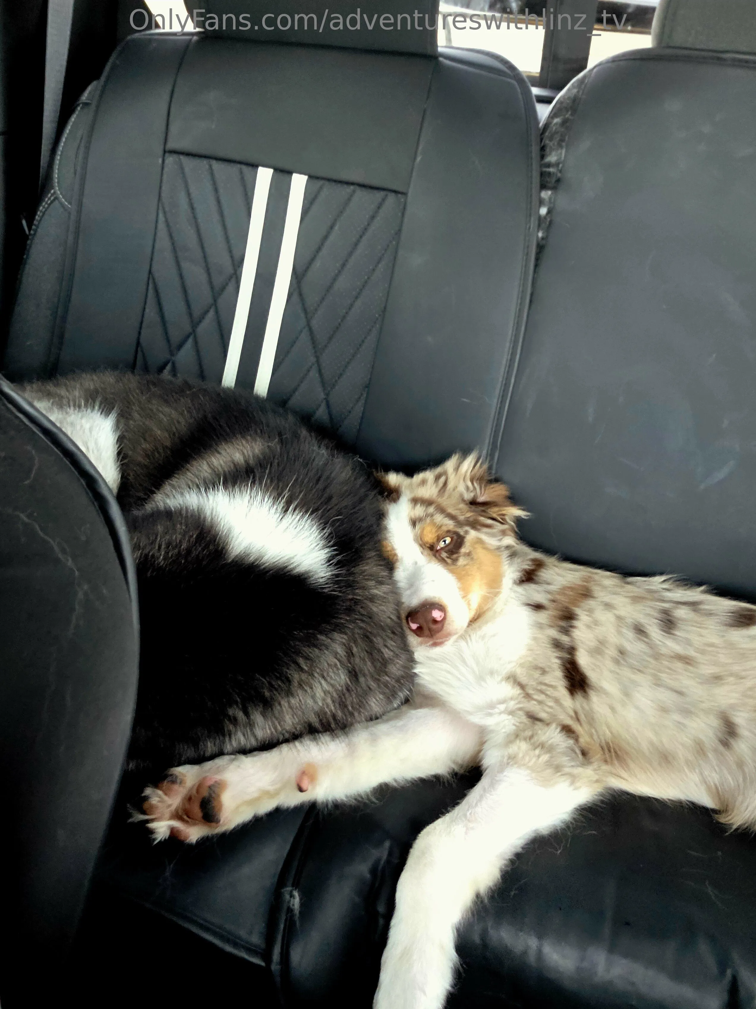 Lindsey OnlyFans leaked nude photo 3 - adventureswithlinz_tv naked pics free download