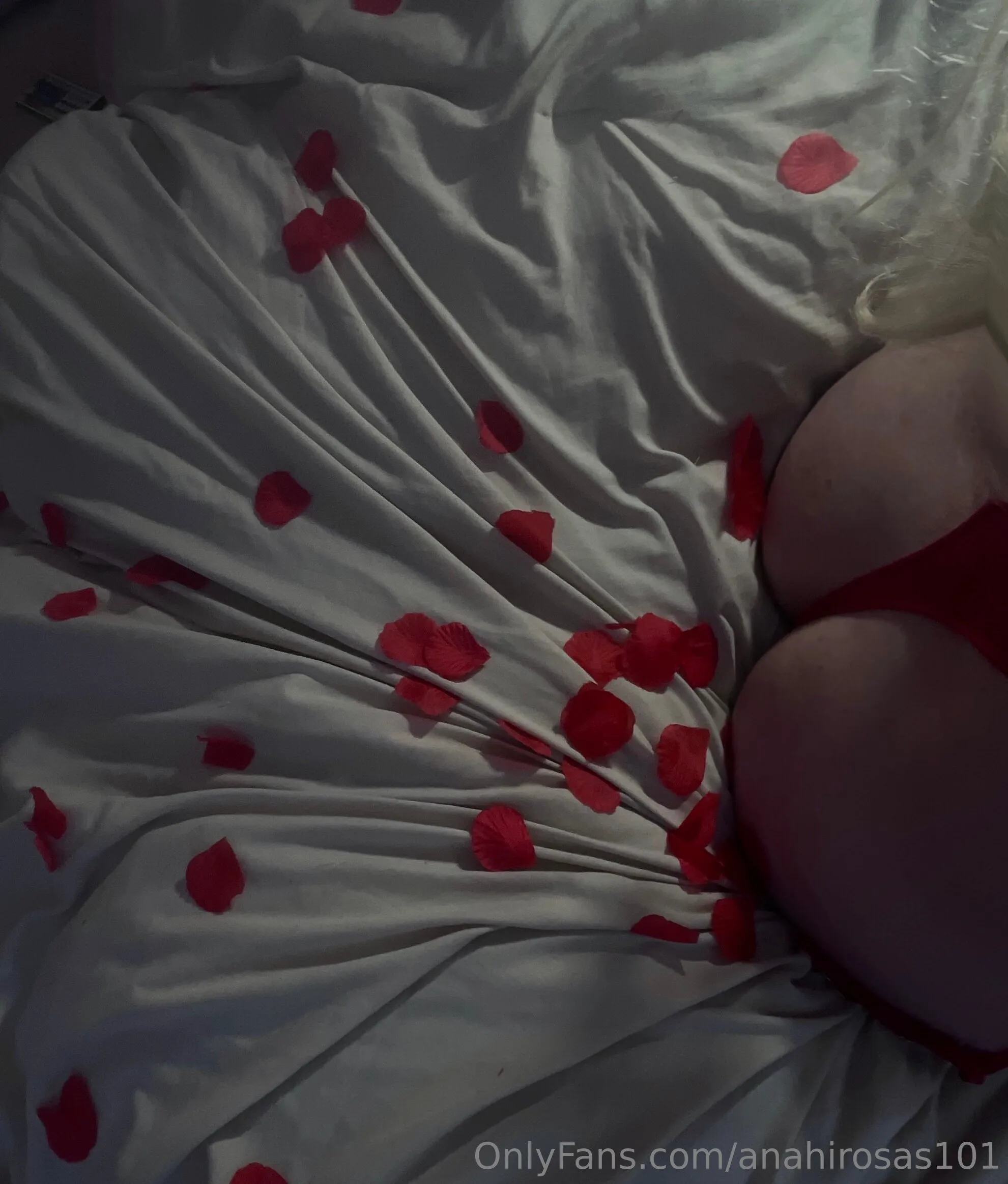 Anahí OnlyFans leaked nude photo 11 - anahirosas101 naked pics free download