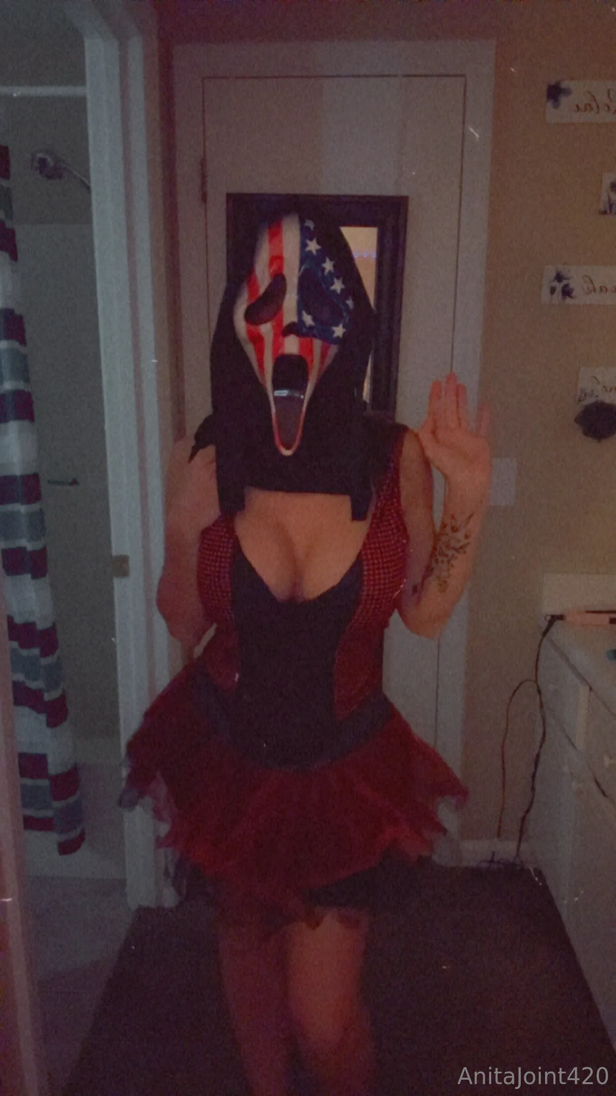 AnitaJoint420 OnlyFans leaked nude photo 5 - anitajoint420 naked pics free download