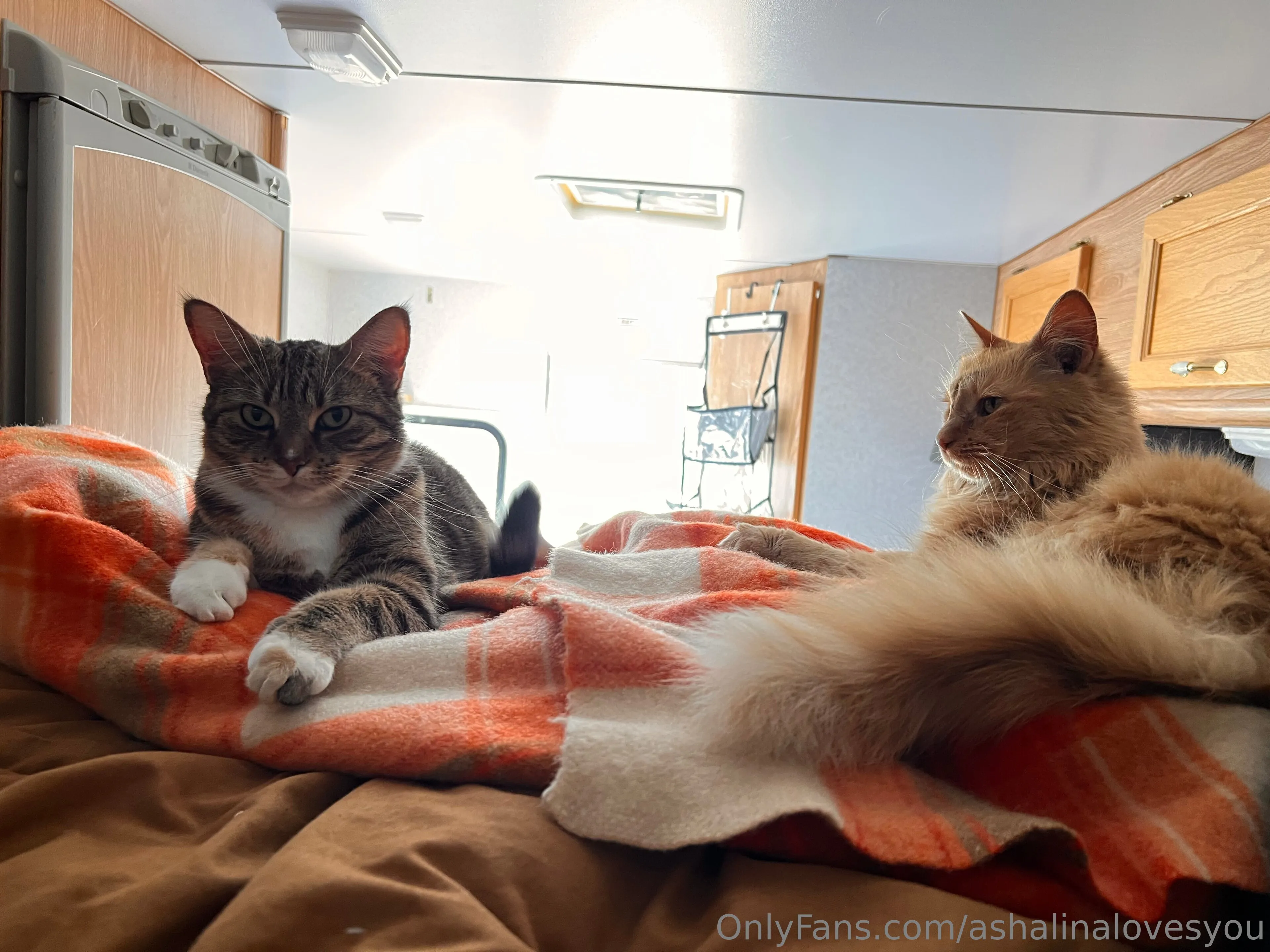 Ashalina OnlyFans leaked nude photo 4 - ashalinalovesyou naked pics free download