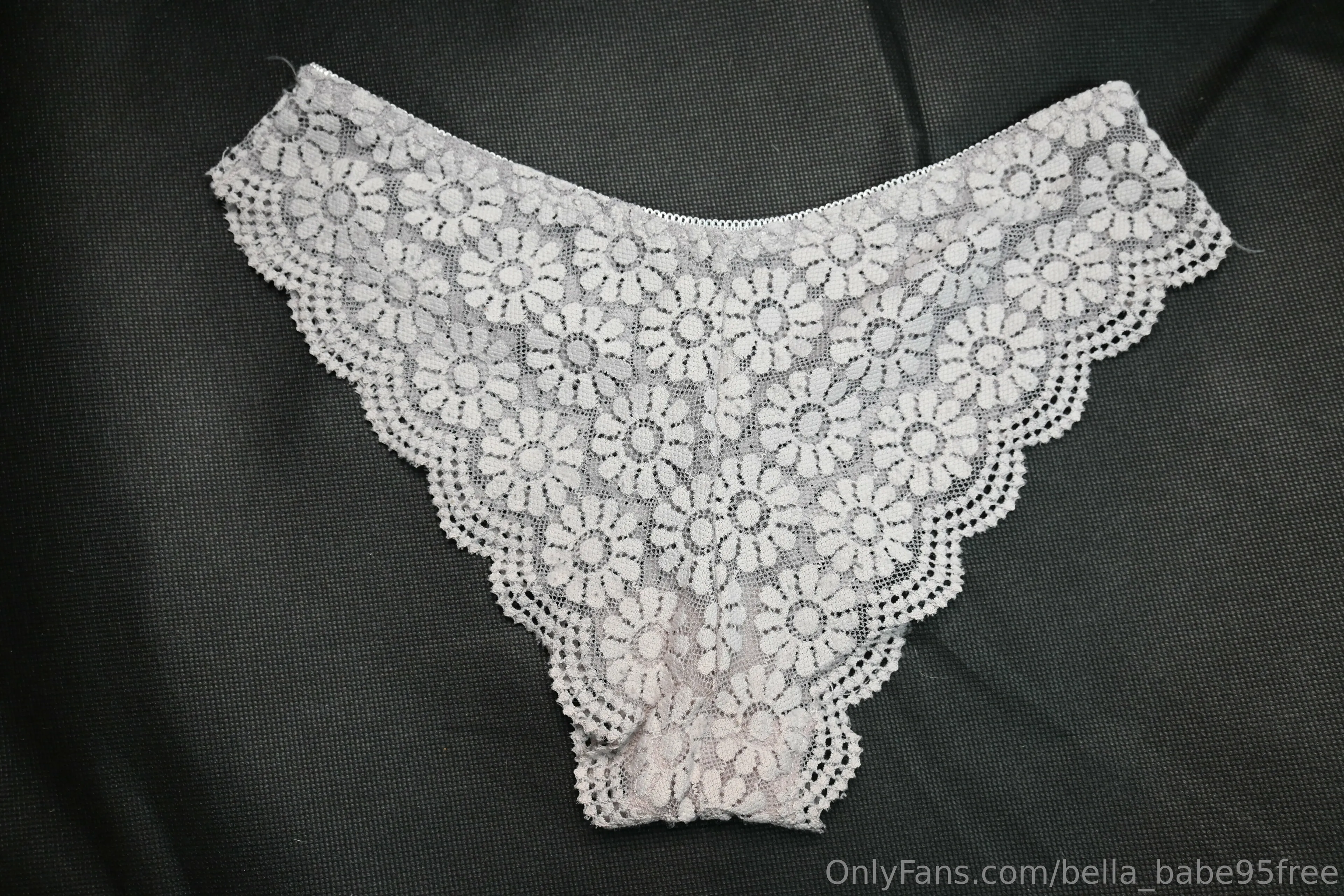 Bella Lugosi FREE OnlyFans leaked nude photo 2 - bella_babe95free naked pics free download