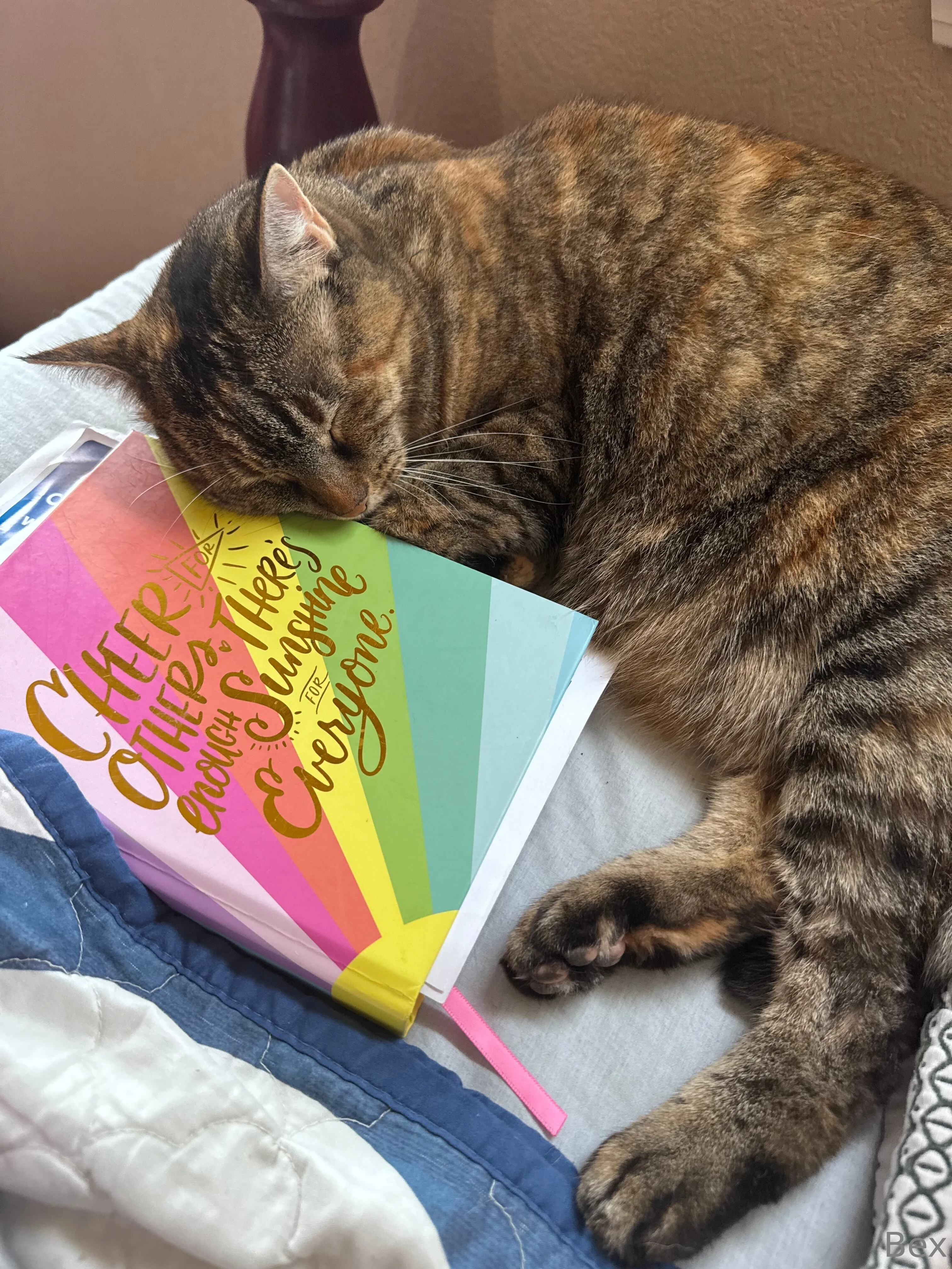 🫐Bex Beauty🫐 OnlyFans leaked nude photo 3 - bex510 naked pics free download