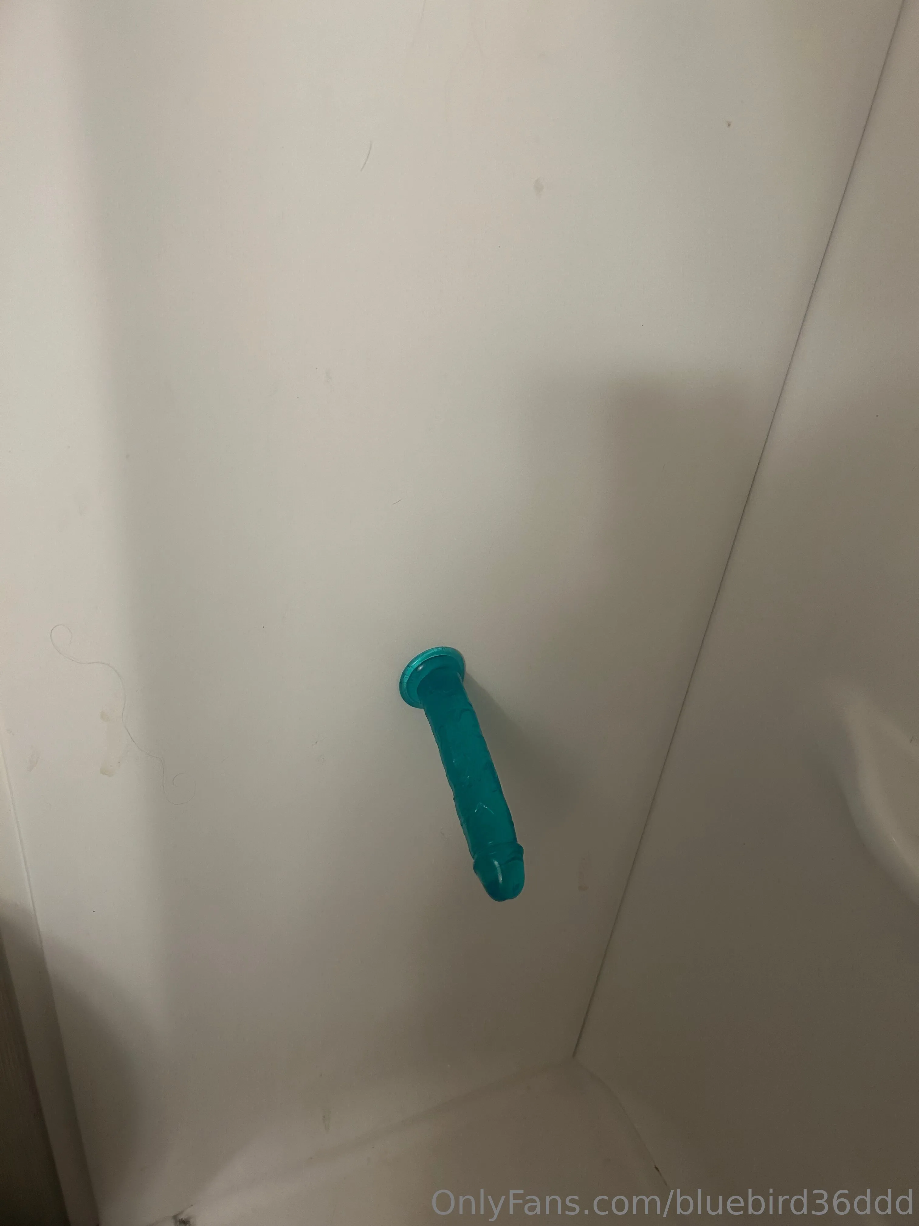 Bluebird36ddd OnlyFans leaked nude photo 6 - bluebird36ddd naked pics free download