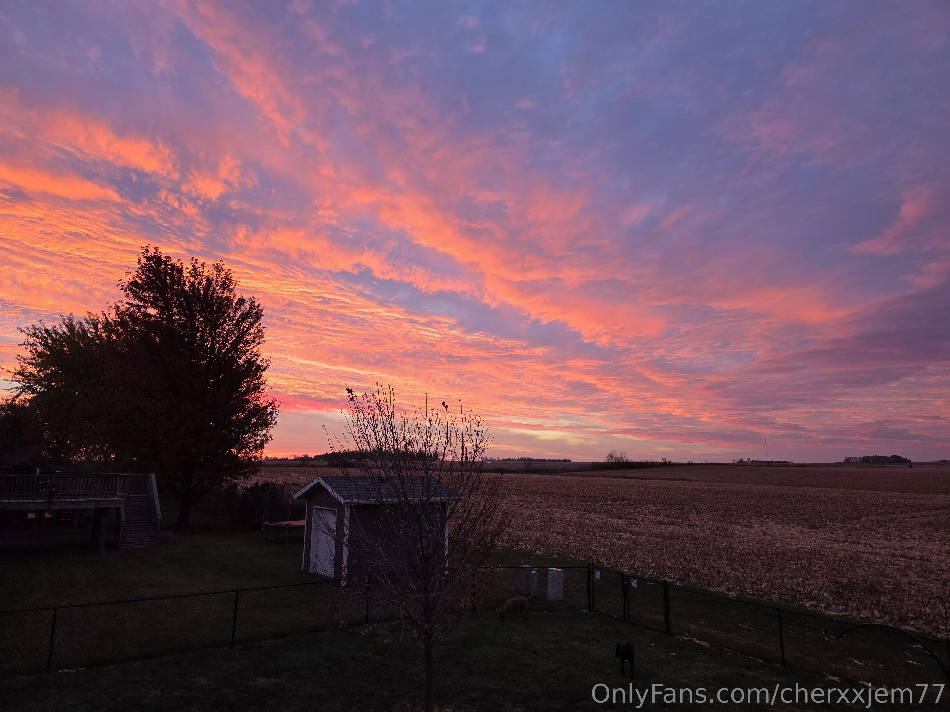 Cherxxjem OnlyFans leaked nude photo 5 - cherxxjem77 naked pics free download