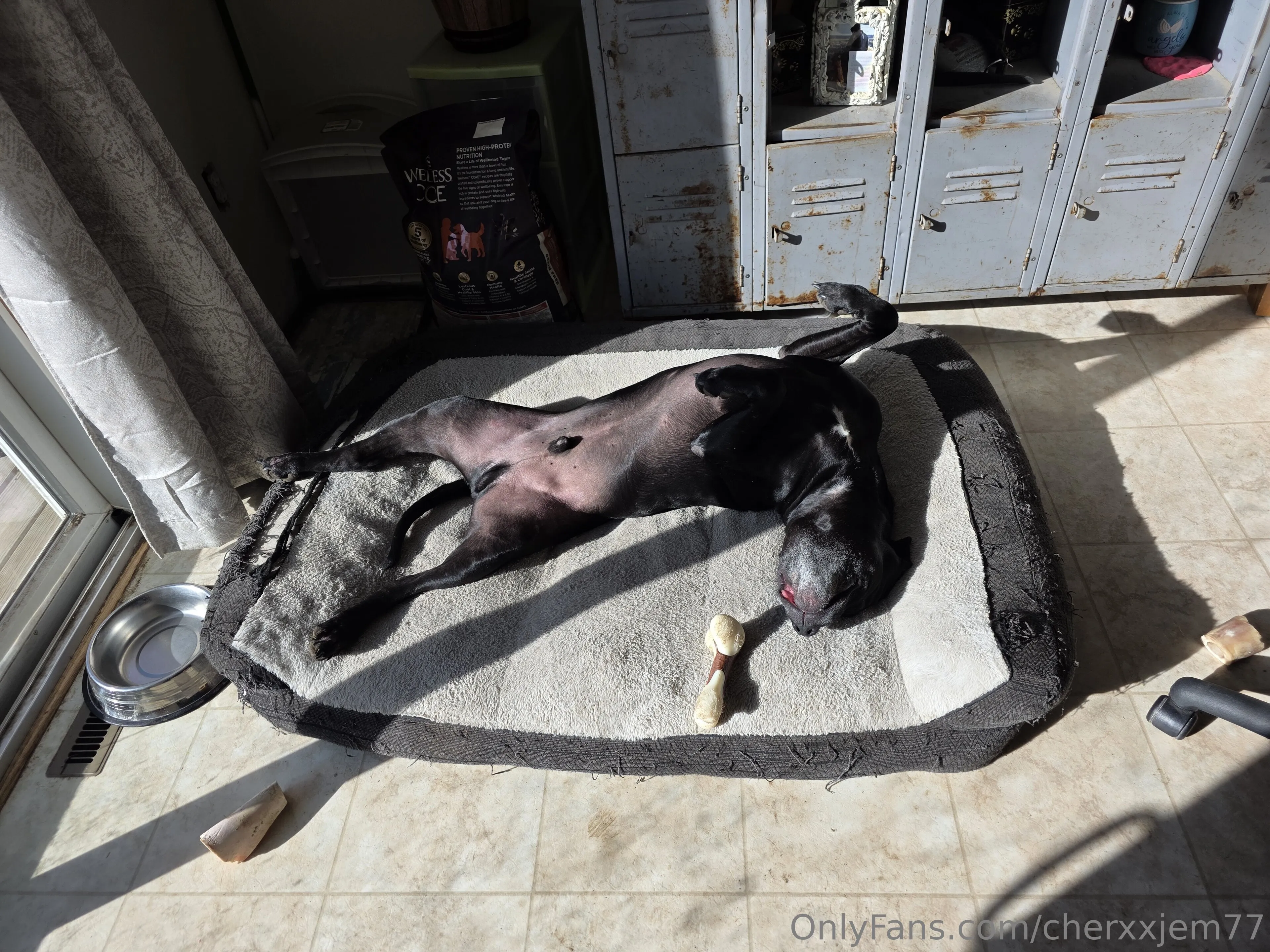 Cherxxjem OnlyFans leaked nude photo 2 - cherxxjem77 naked pics free download