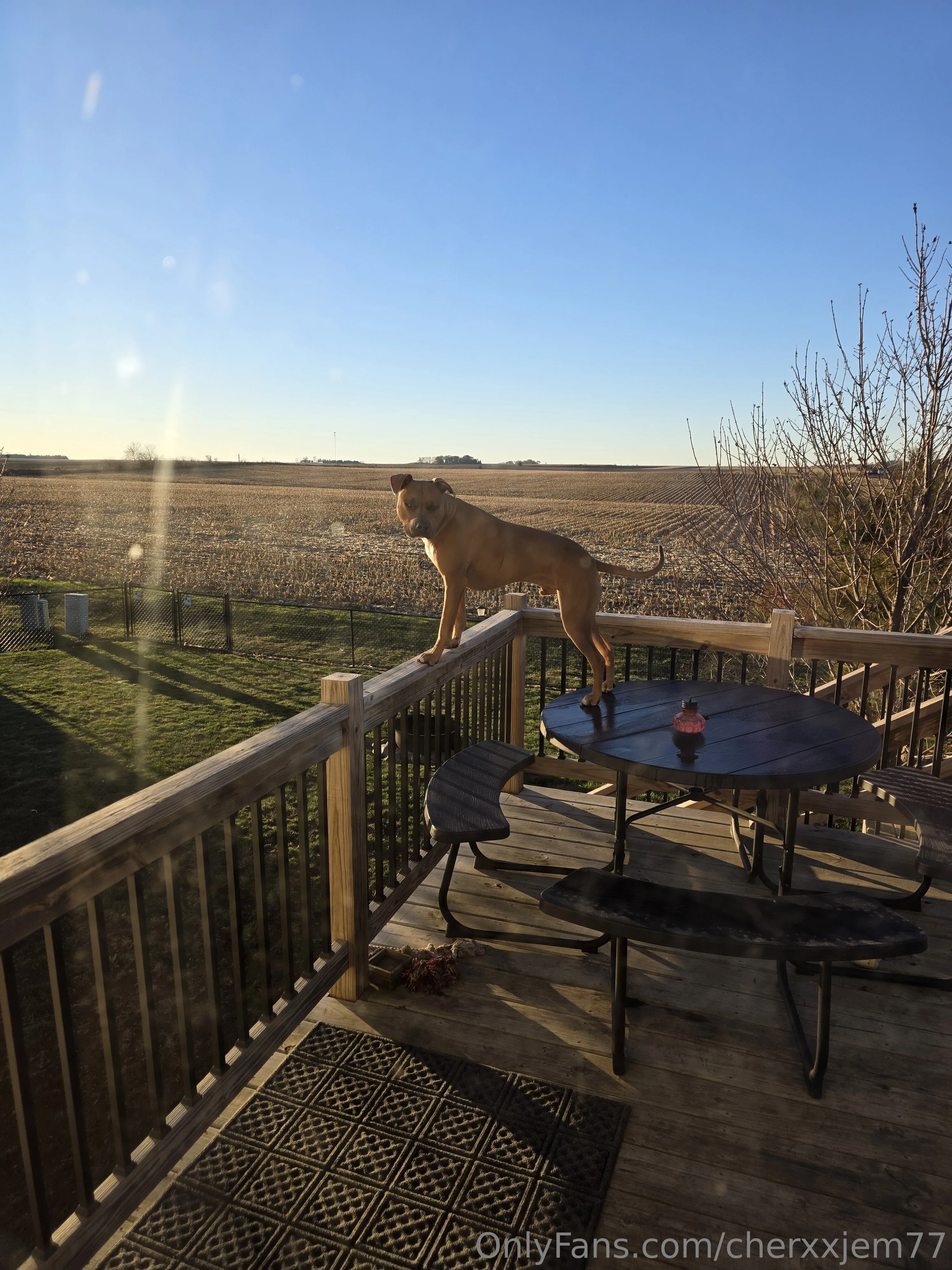 Cherxxjem OnlyFans leaked nude photo 1 - cherxxjem77 naked pics free download