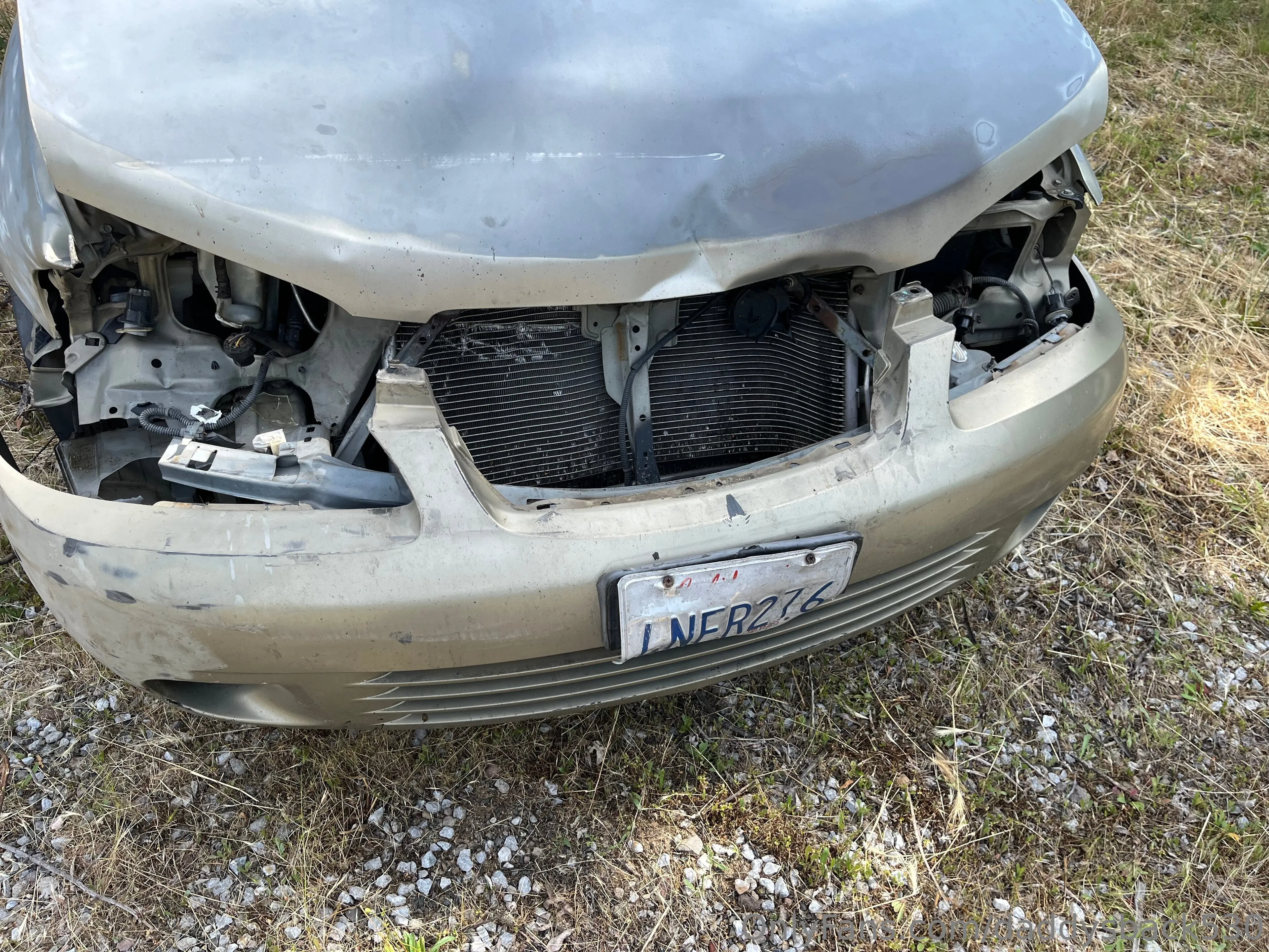 Daddysback530 OnlyFans leaked nude photo 1 - daddysback530 naked pics free download