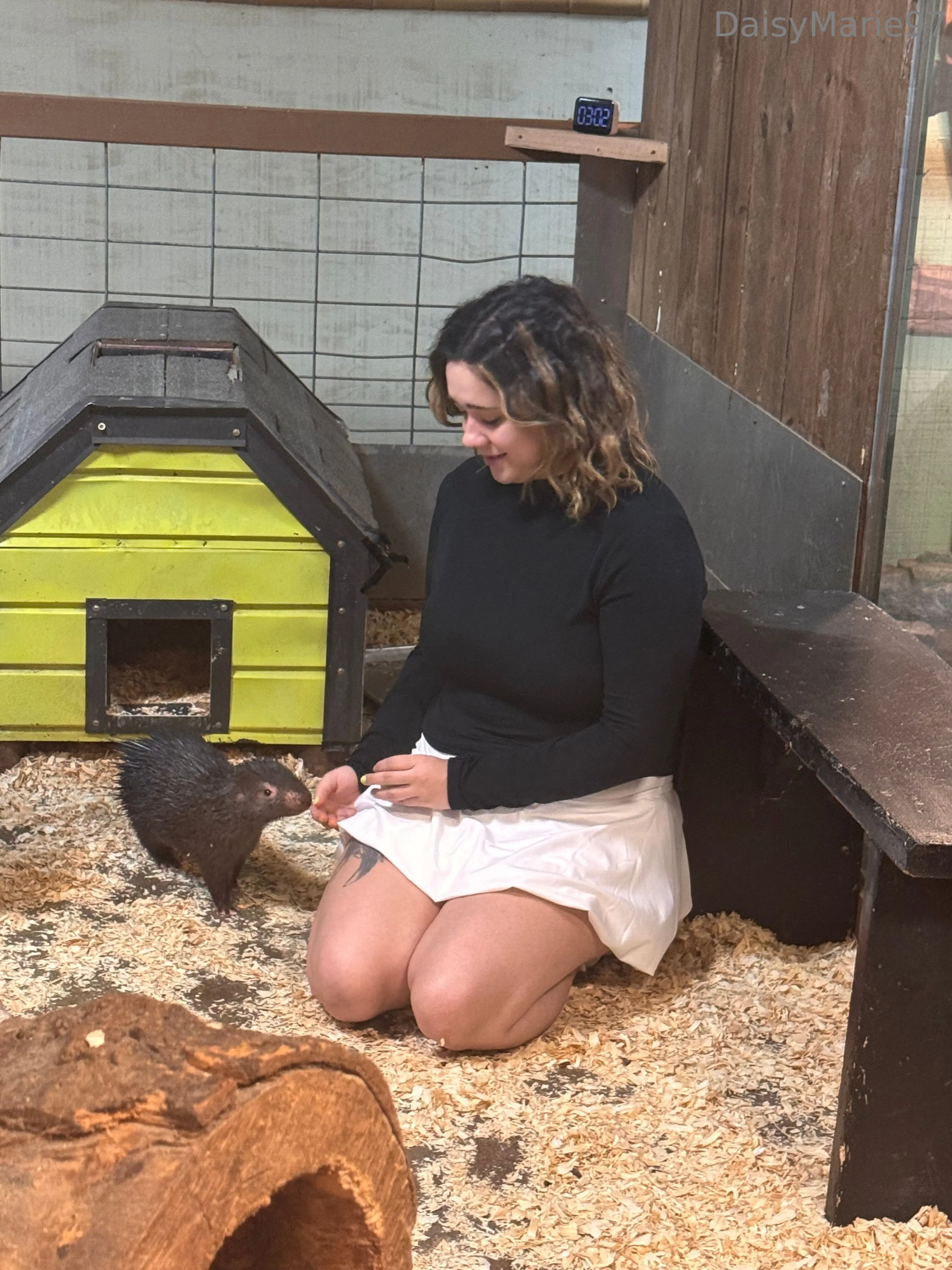 Daisy Marie 🌼 OnlyFans leaked nude photo 6 - daisymarie97 naked pics free download