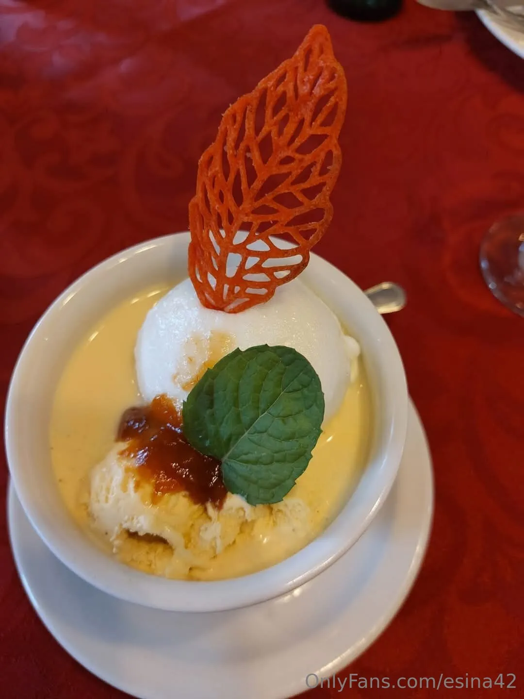 Esina OnlyFans leaked nude photo 11 - esina42 naked pics free download