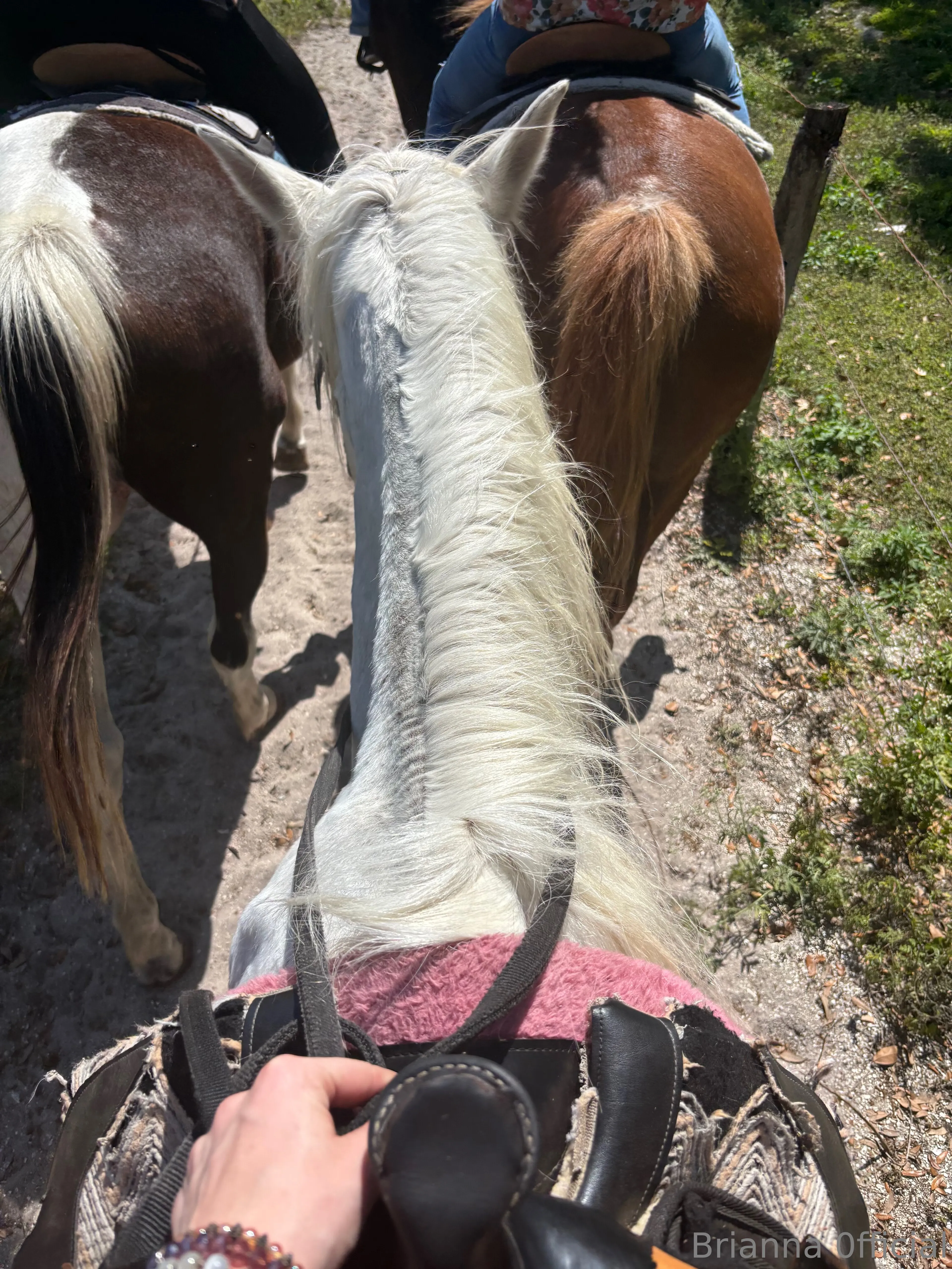 Brianna💕 OnlyFans leaked nude photo 14 - brianna.0fficial naked pics free download