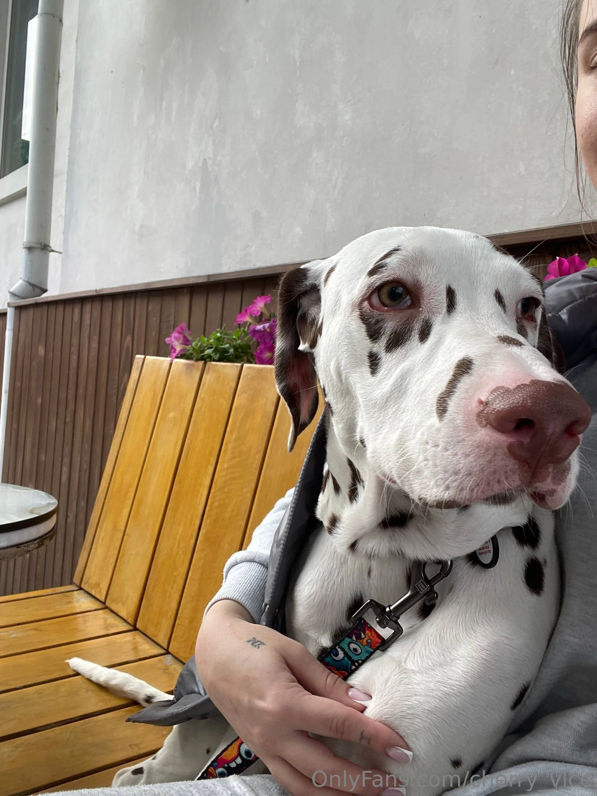 CherryVice OnlyFans leaked nude photo 5 - cherry_vice naked pics free download