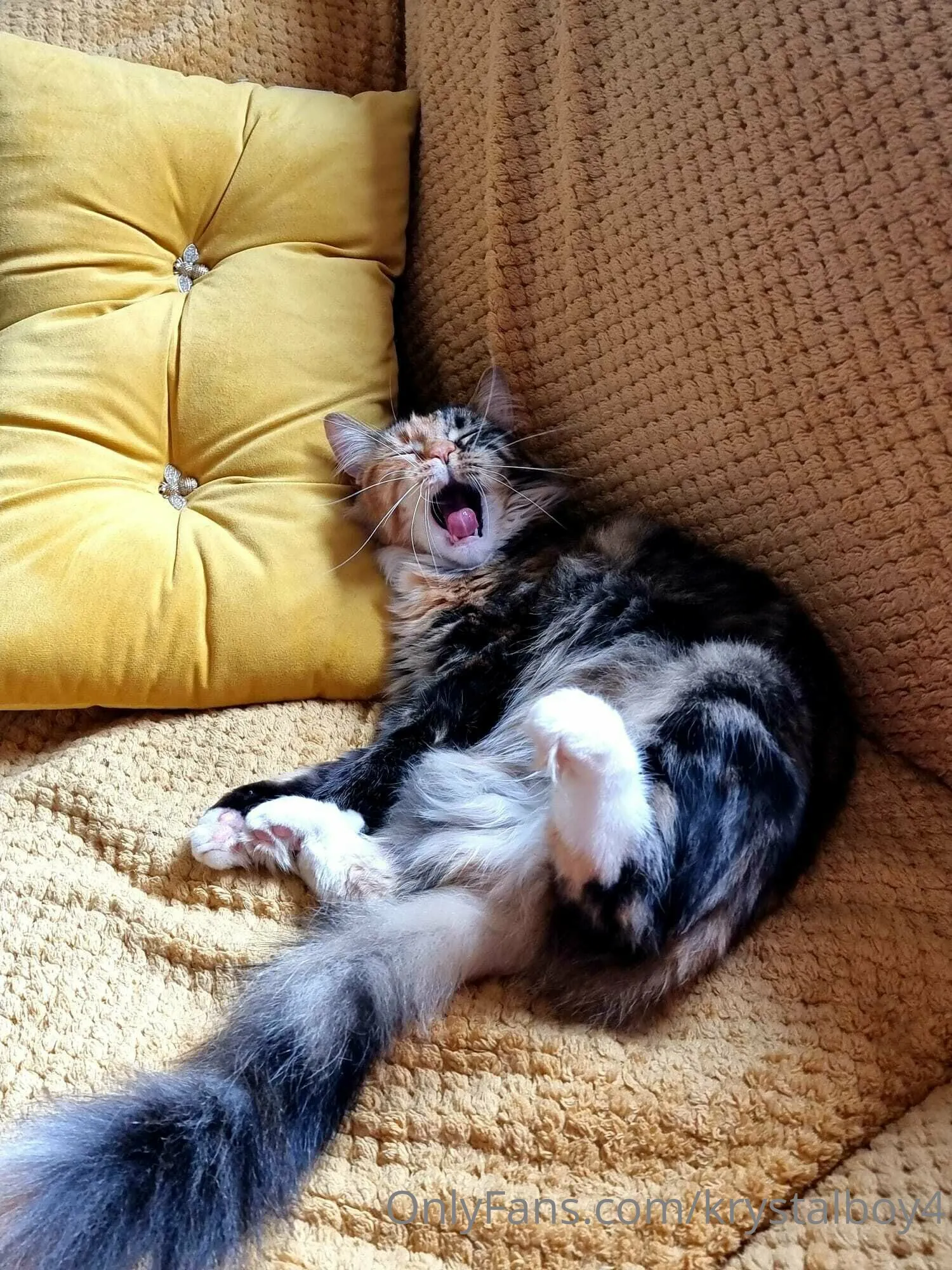 AL.. Fitness OnlyFans leaked nude photo 15 - krystal92 naked pics free download