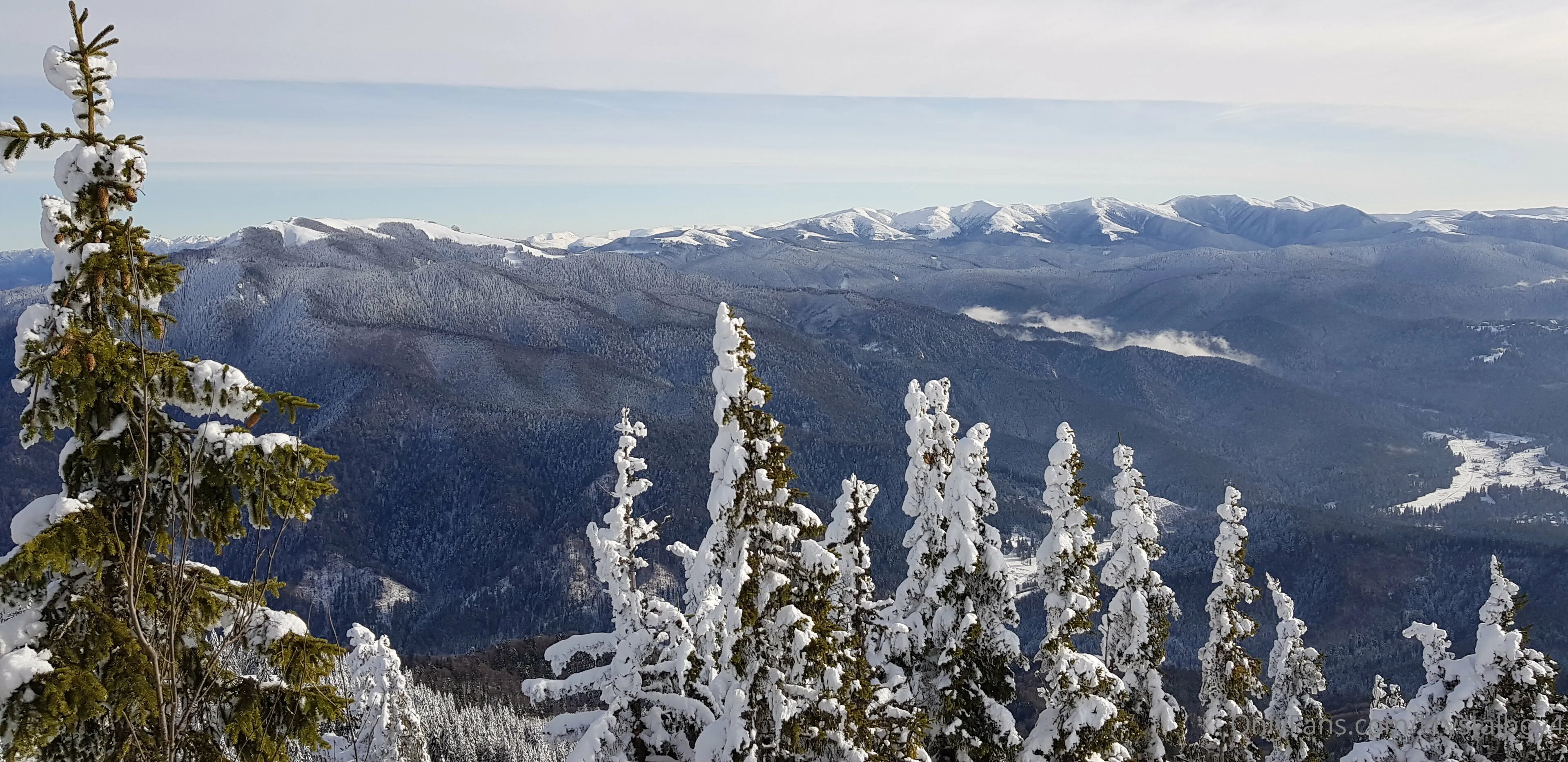 AL.. Fitness OnlyFans leaked nude photo 13 - krystal92 naked pics free download