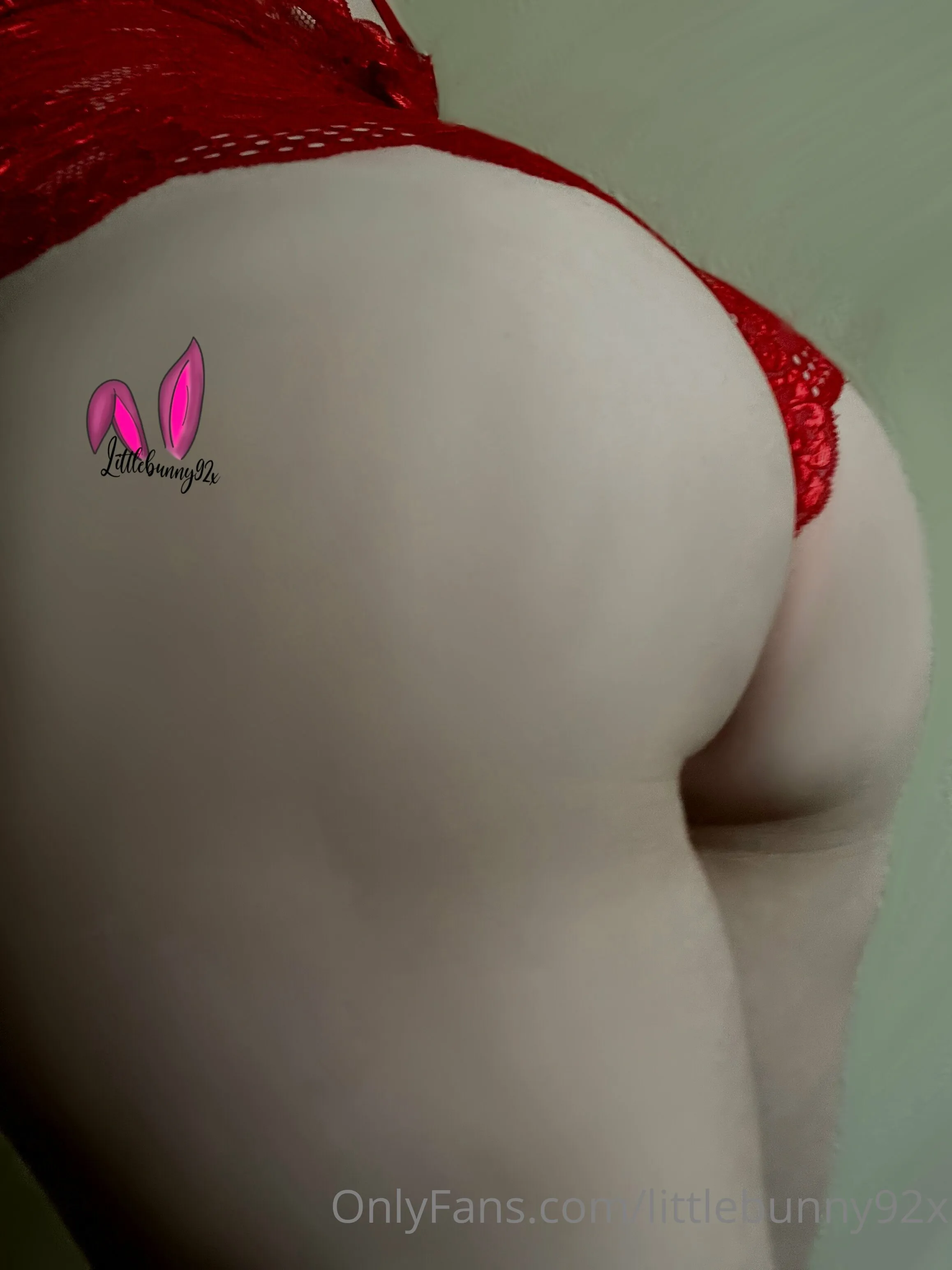 Littlebunny92 OnlyFans leaked nude photo 11 - littlebunny92x naked pics free download