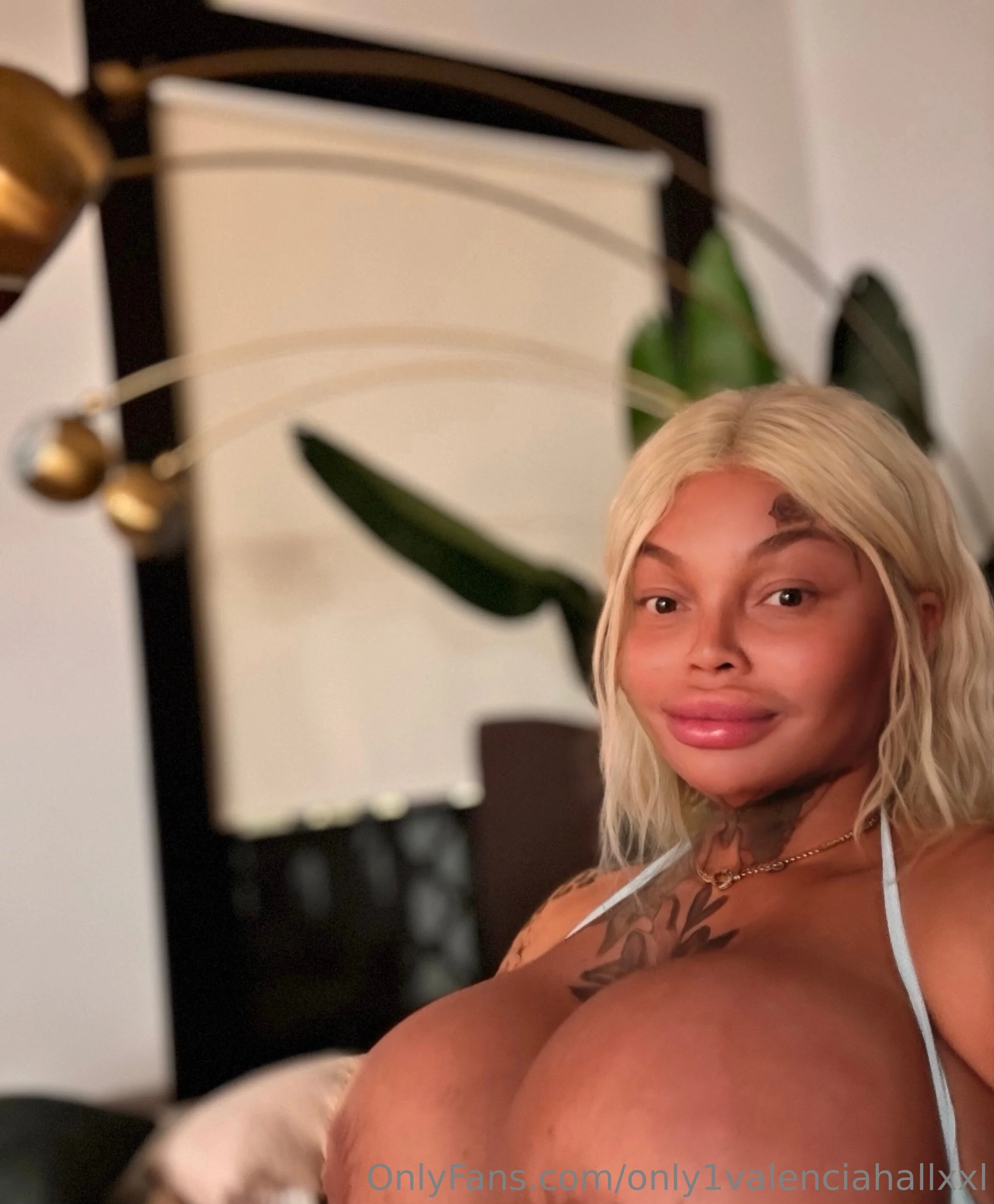 Valencia Hall OnlyFans leaked nude photo 11 - only1valenciahallxxl naked pics free download