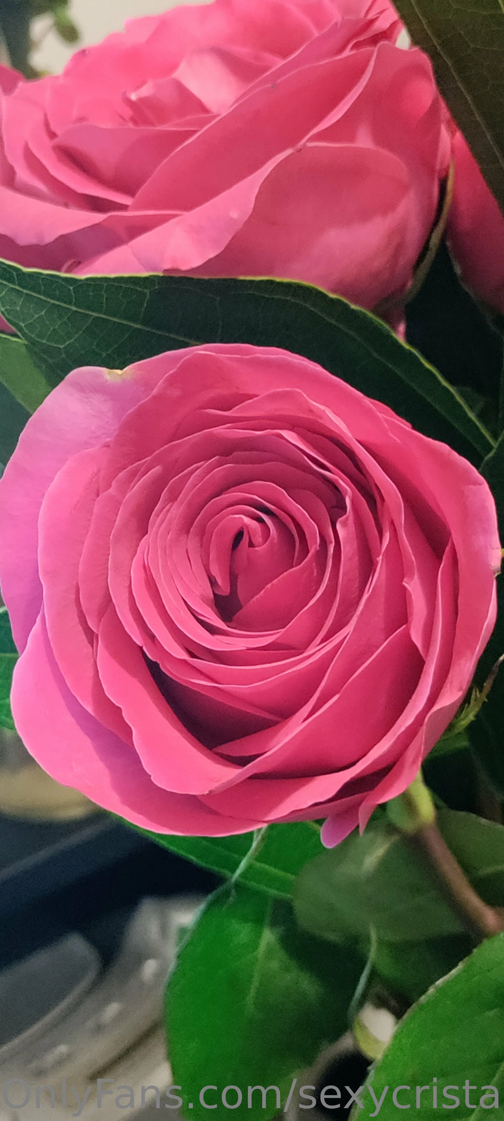 💛💙Queen BBW💜💚 OnlyFans leaked nude photo 27 - sexycristal78 naked pics free download