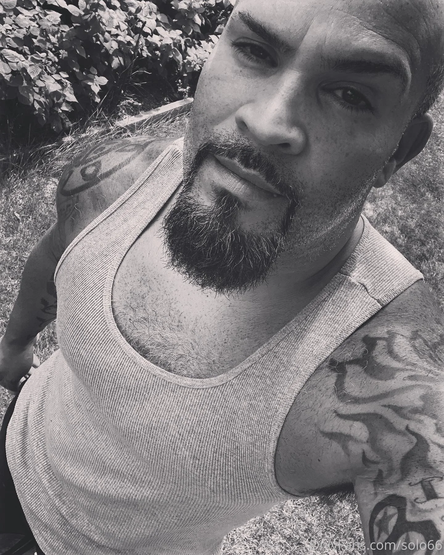 solo66 OnlyFans leaked nude photo 7 - solo66 naked pics free download