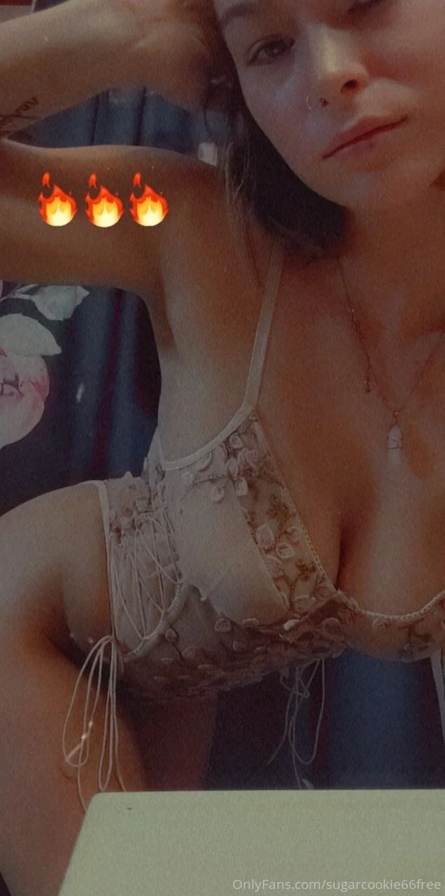 Sugar cookie *free* OnlyFans leaked nude photo 7 - sugarcookie66free naked pics free download