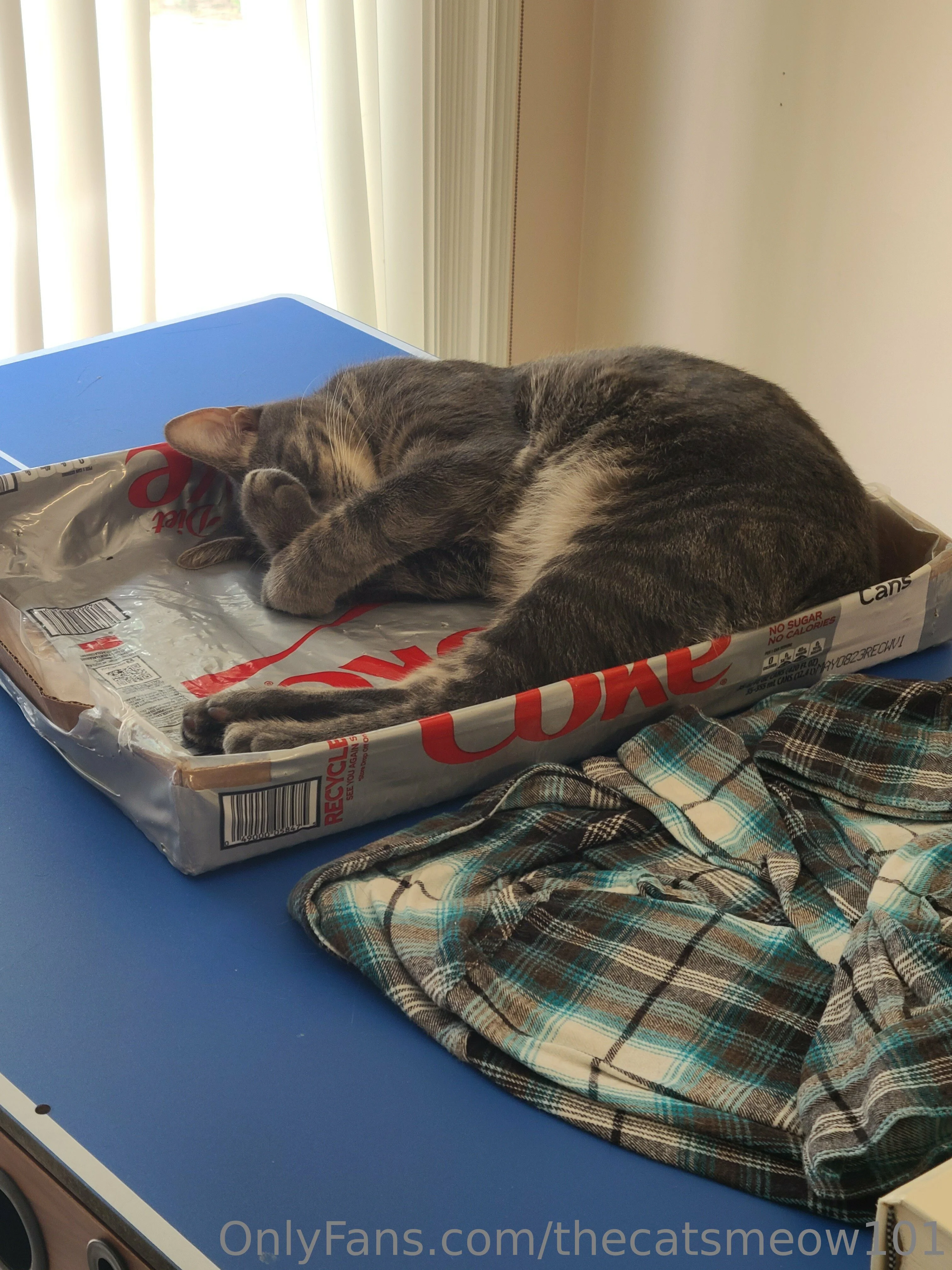 thecatsmeow101 OnlyFans leaked nude photo 3 - thecatsmeow101 naked pics free download