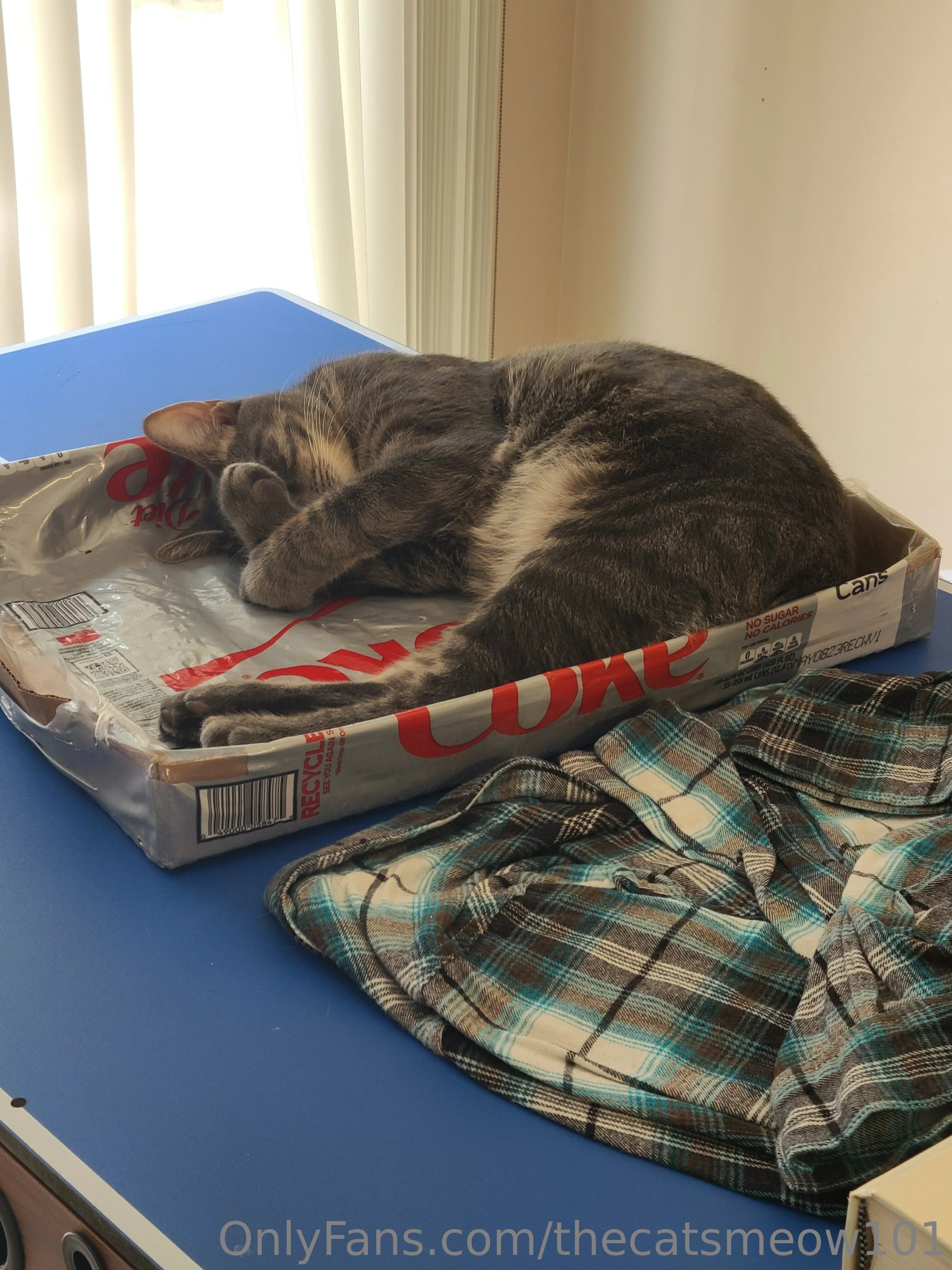 thecatsmeow101 OnlyFans leaked nude photo 2 - thecatsmeow101 naked pics free download