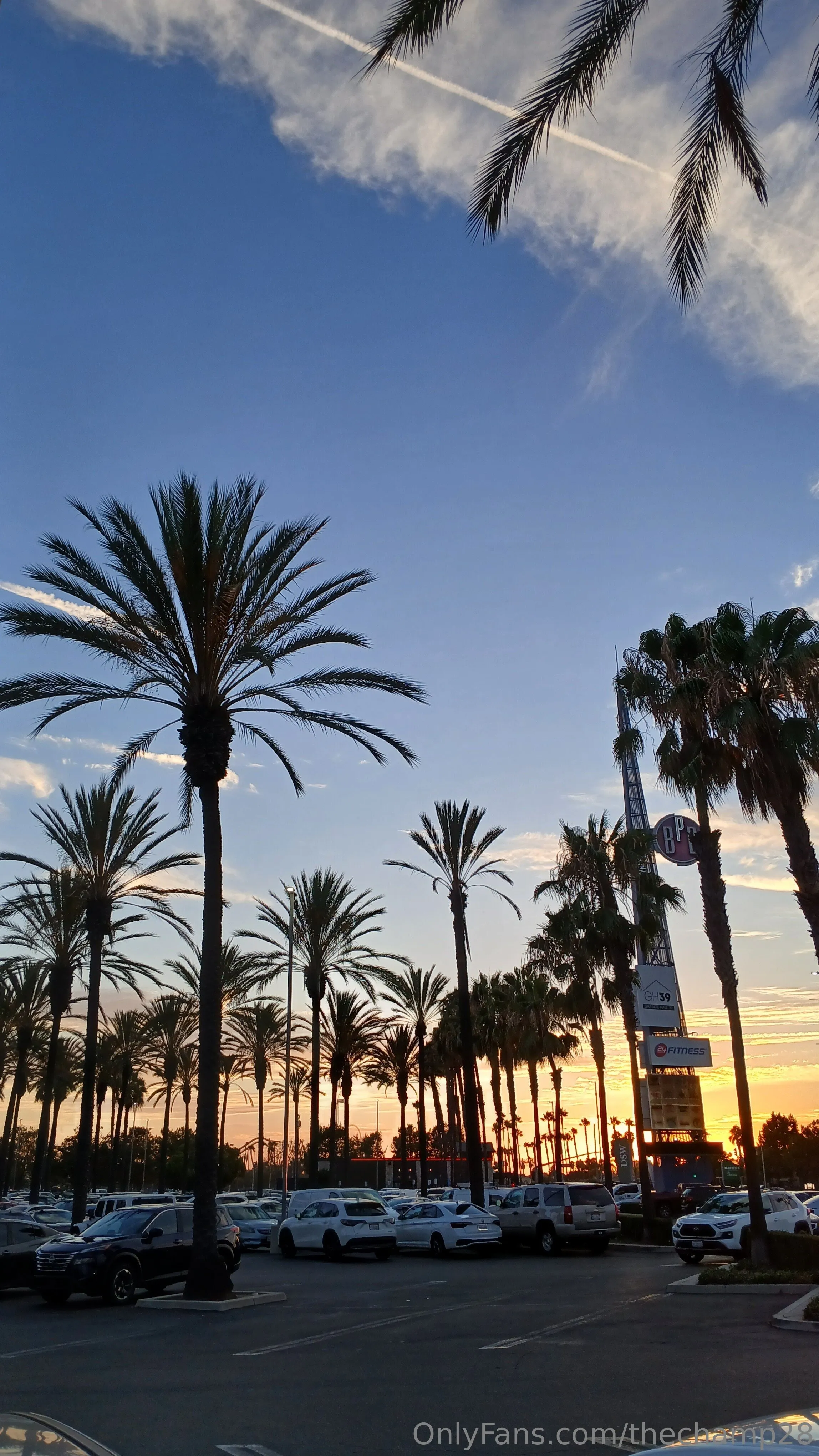 TJ OnlyFans leaked nude photo 6 - thechamp28 naked pics free download