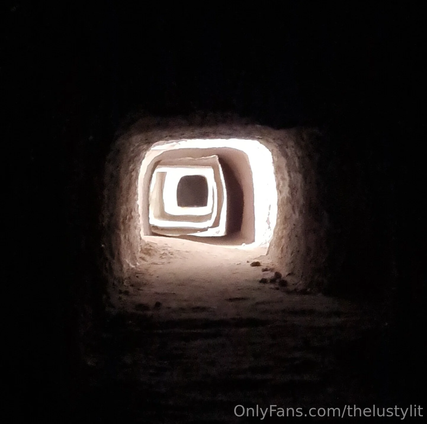 The Lusty Lit OnlyFans leaked nude photo 39 - thelustylit naked pics free download