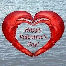 Tom FFA OnlyFans leaked nude photo 12 - vindicator88 naked pics free download