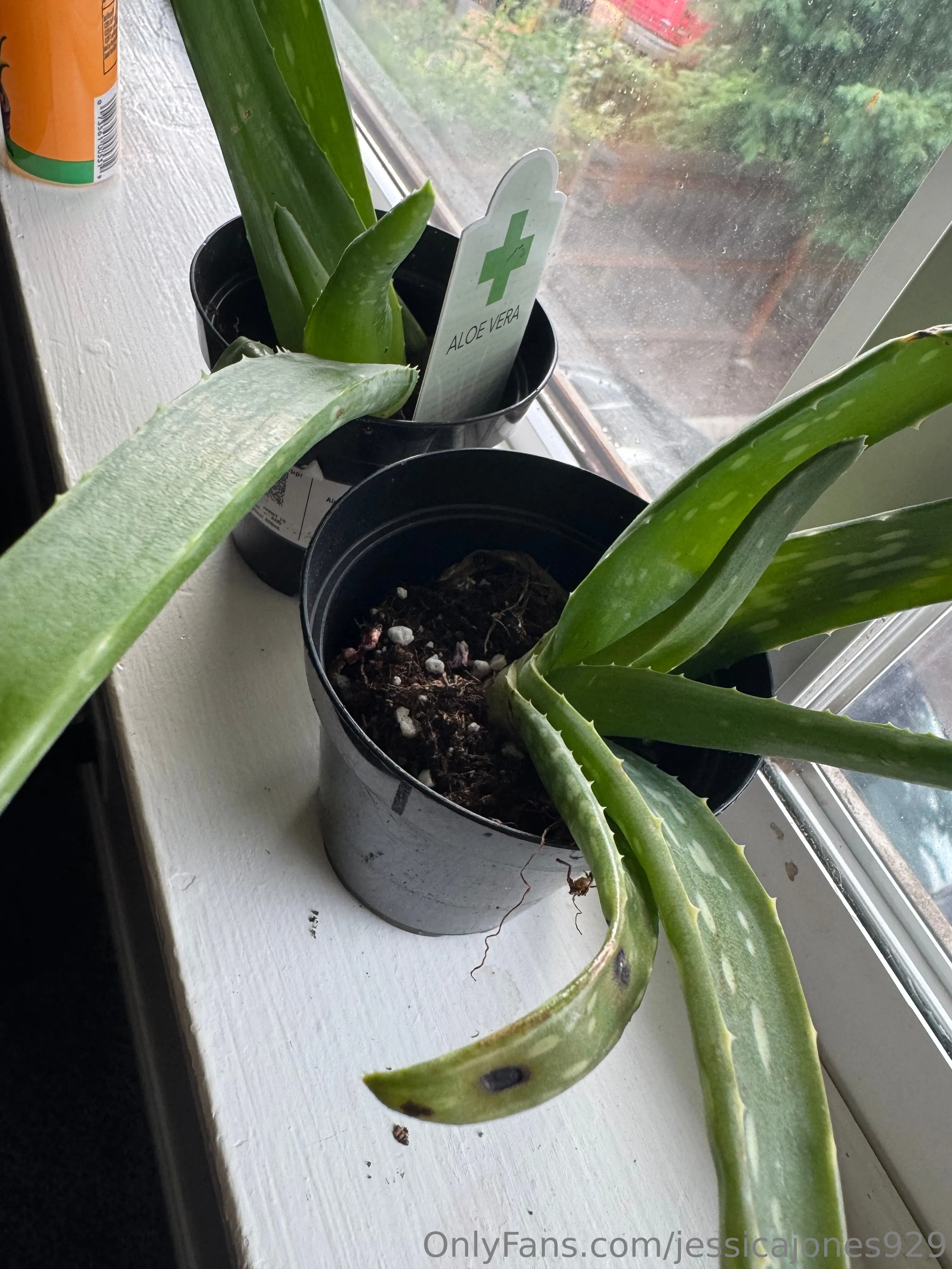 Jessica Jones OnlyFans leaked nude photo 12 - jessicajones929 naked pics free download