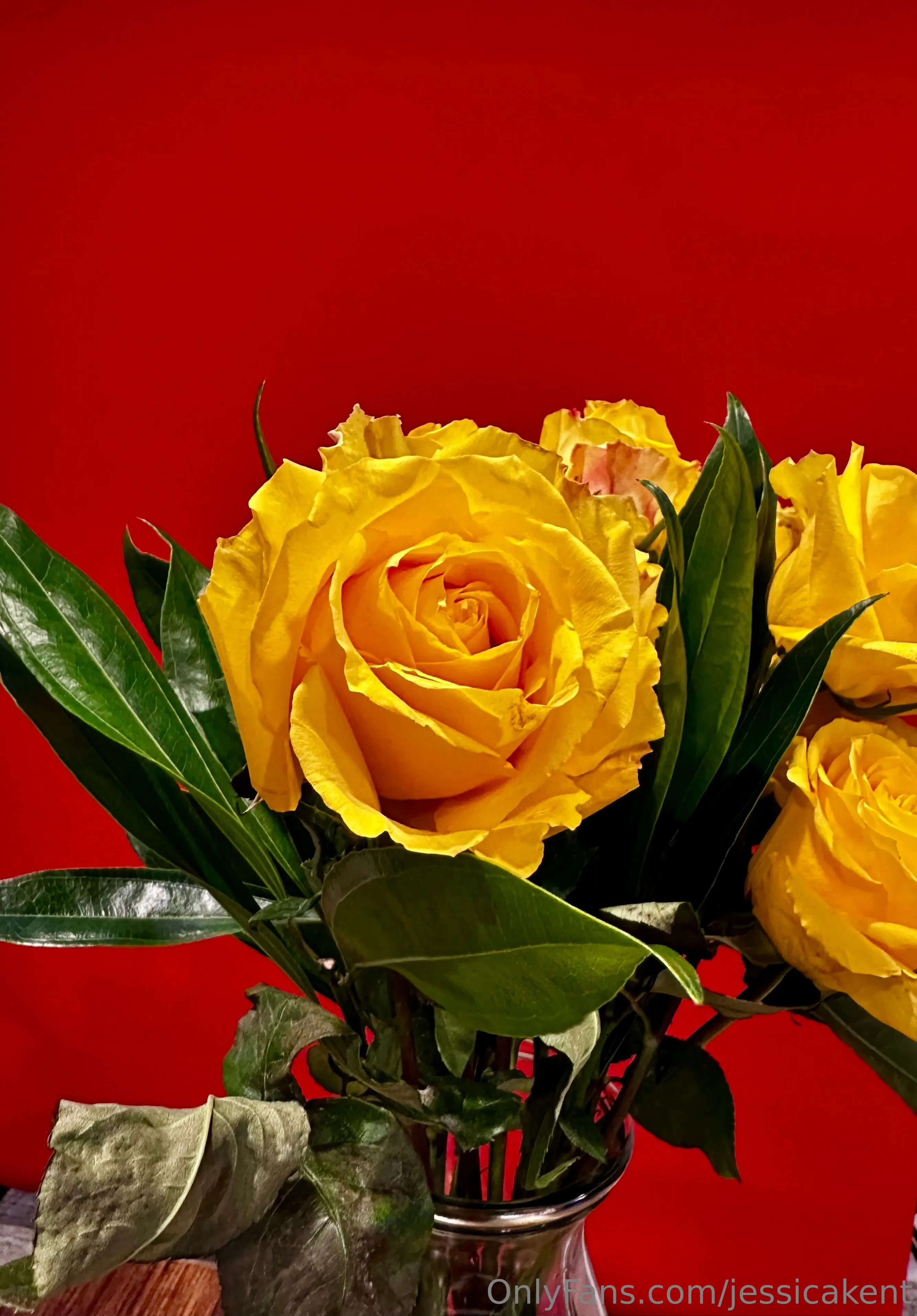 Jessica Kent OnlyFans leaked nude photo 11 - jessicakent naked pics free download