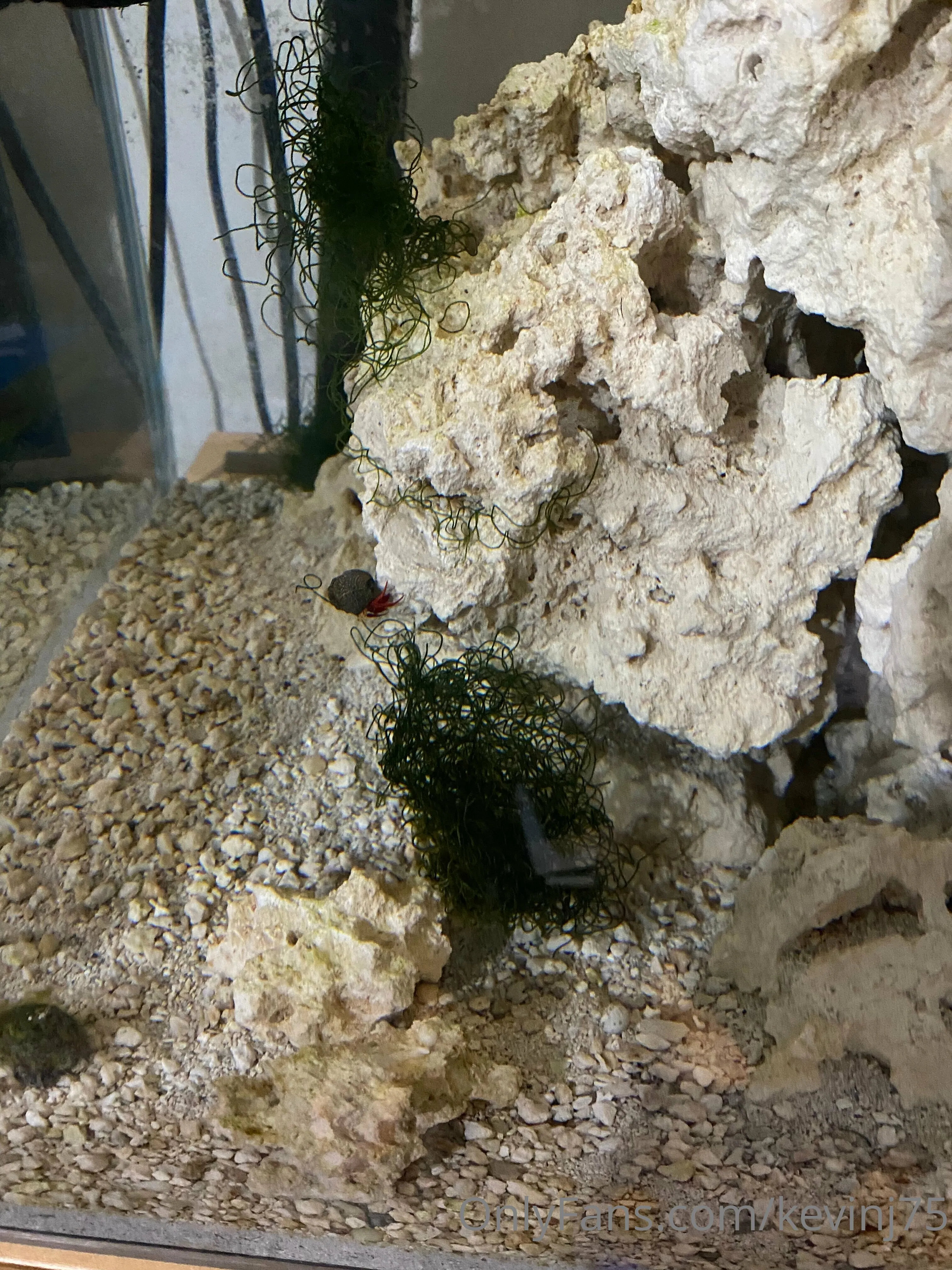 Kevinj75 OnlyFans leaked nude photo 60 - kevinj75 naked pics free download