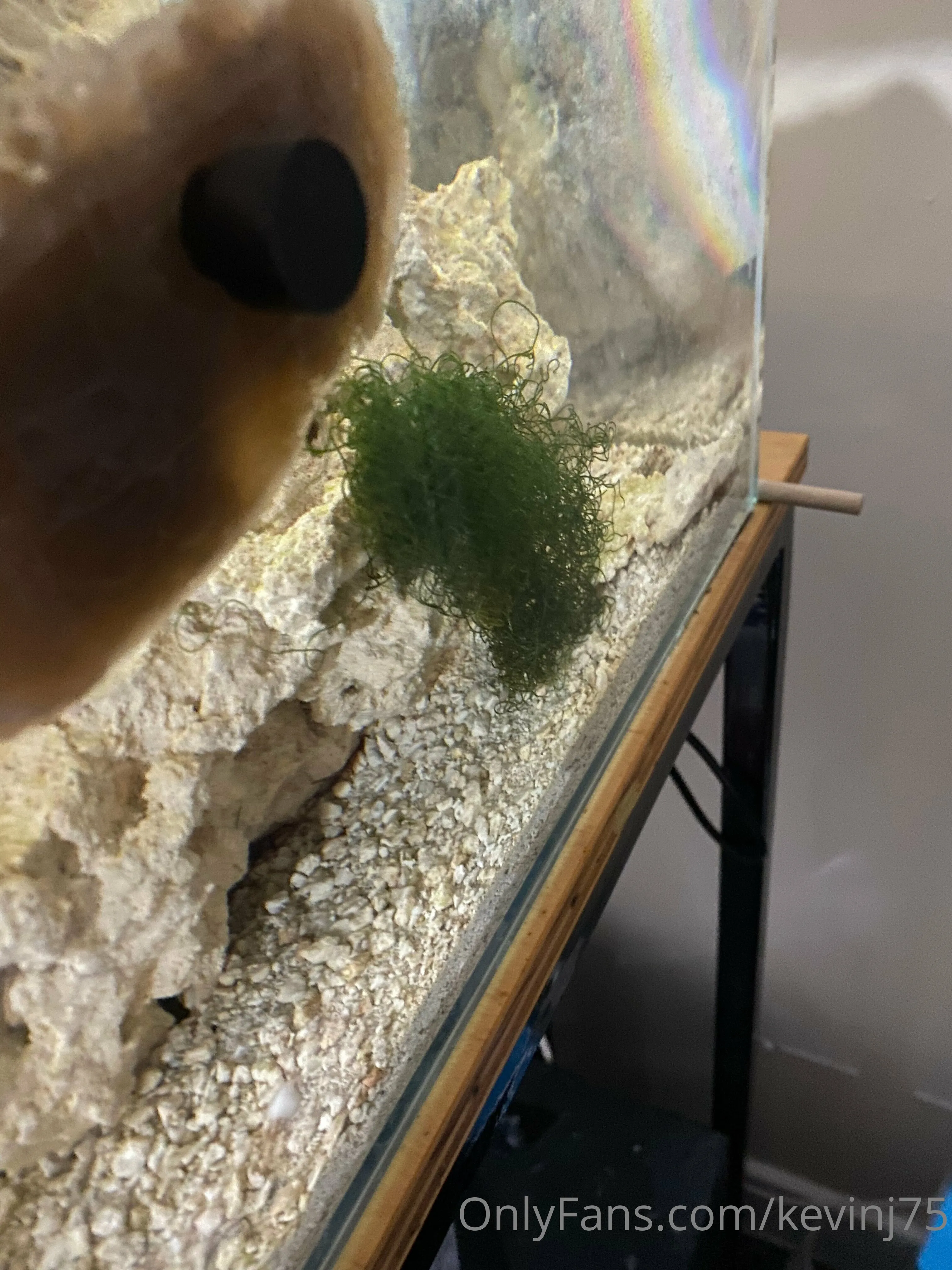 Kevinj75 OnlyFans leaked nude photo 59 - kevinj75 naked pics free download