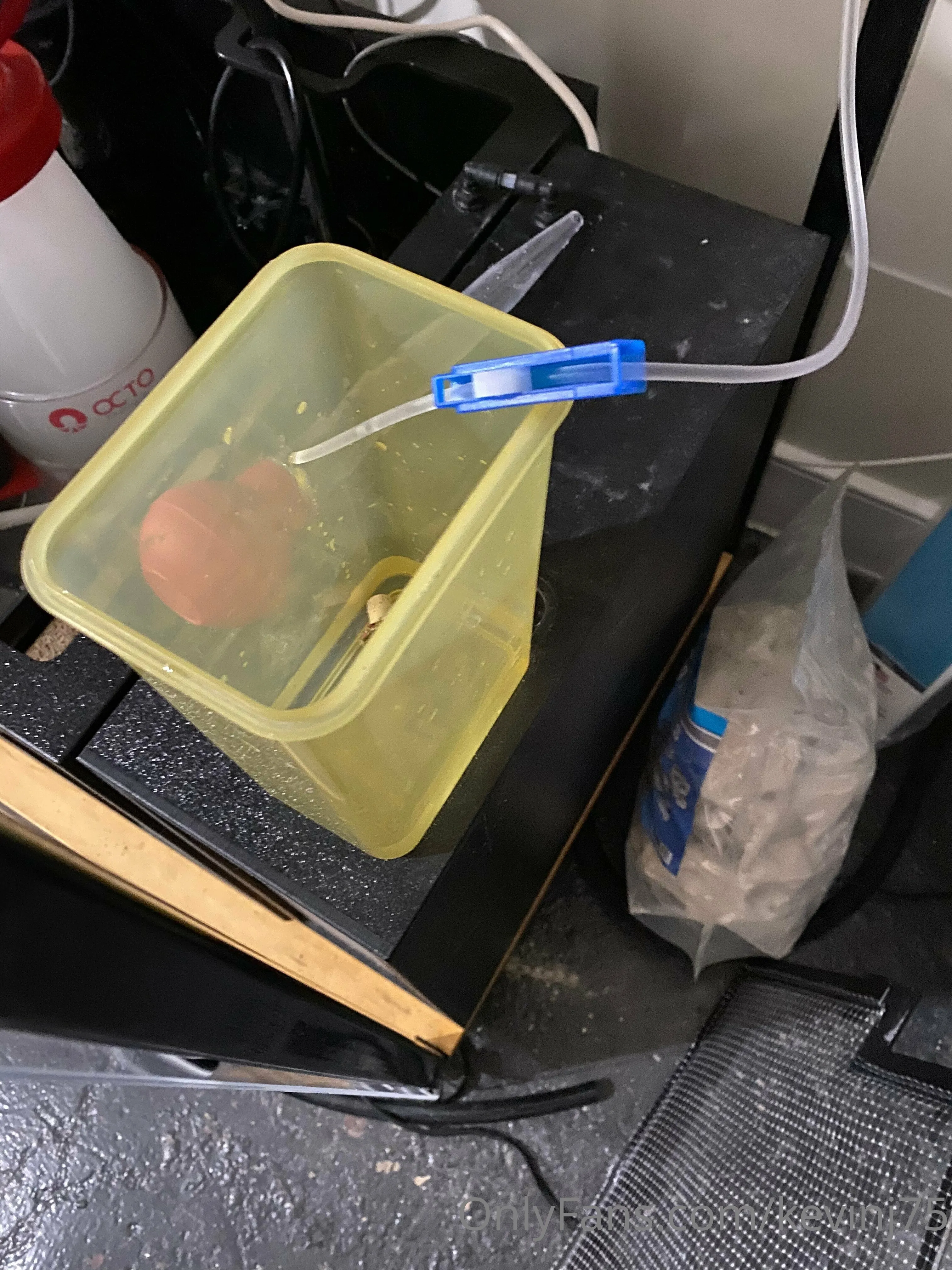 Kevinj75 OnlyFans leaked nude photo 58 - kevinj75 naked pics free download