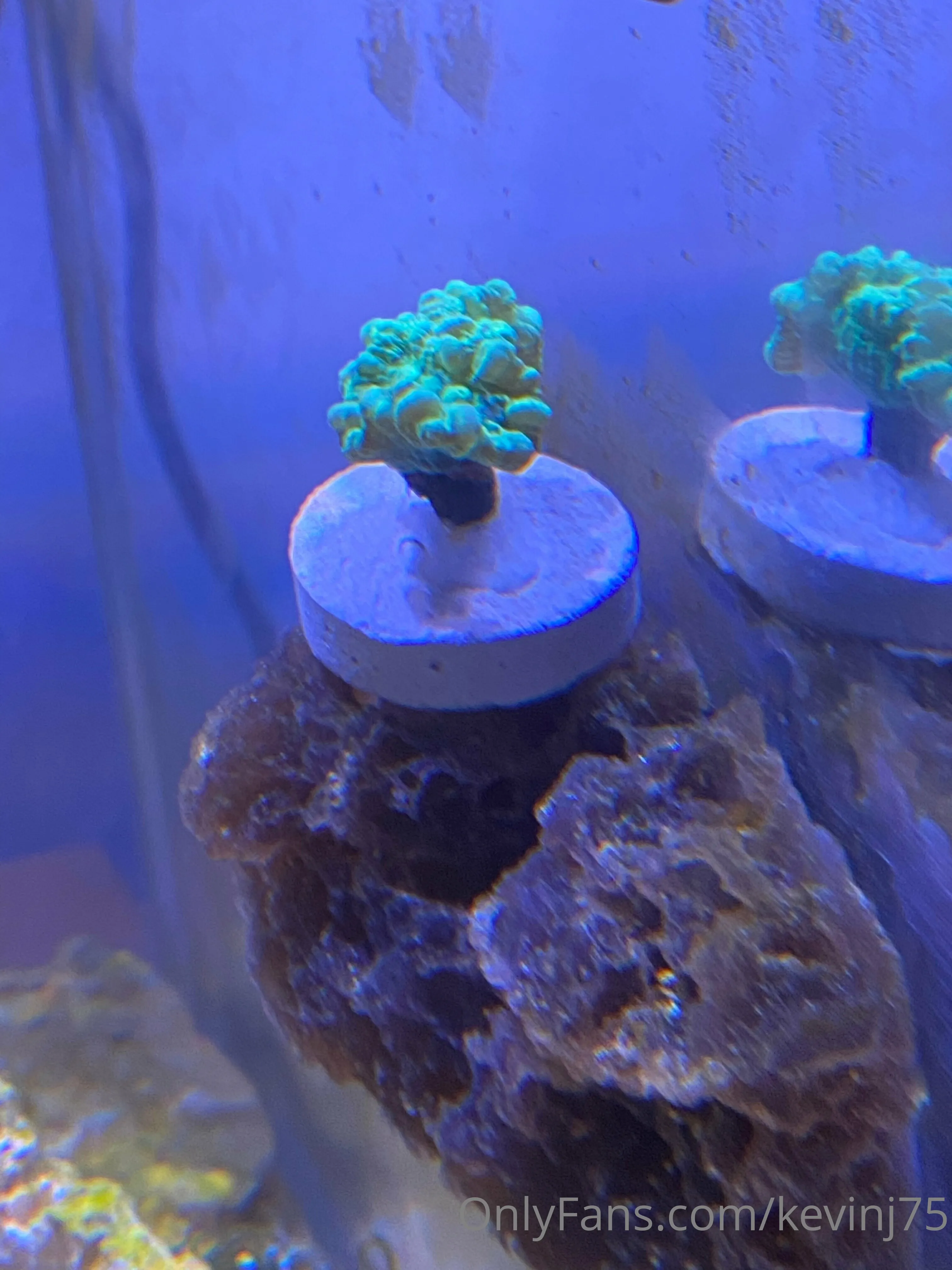 Kevinj75 OnlyFans leaked nude photo 53 - kevinj75 naked pics free download