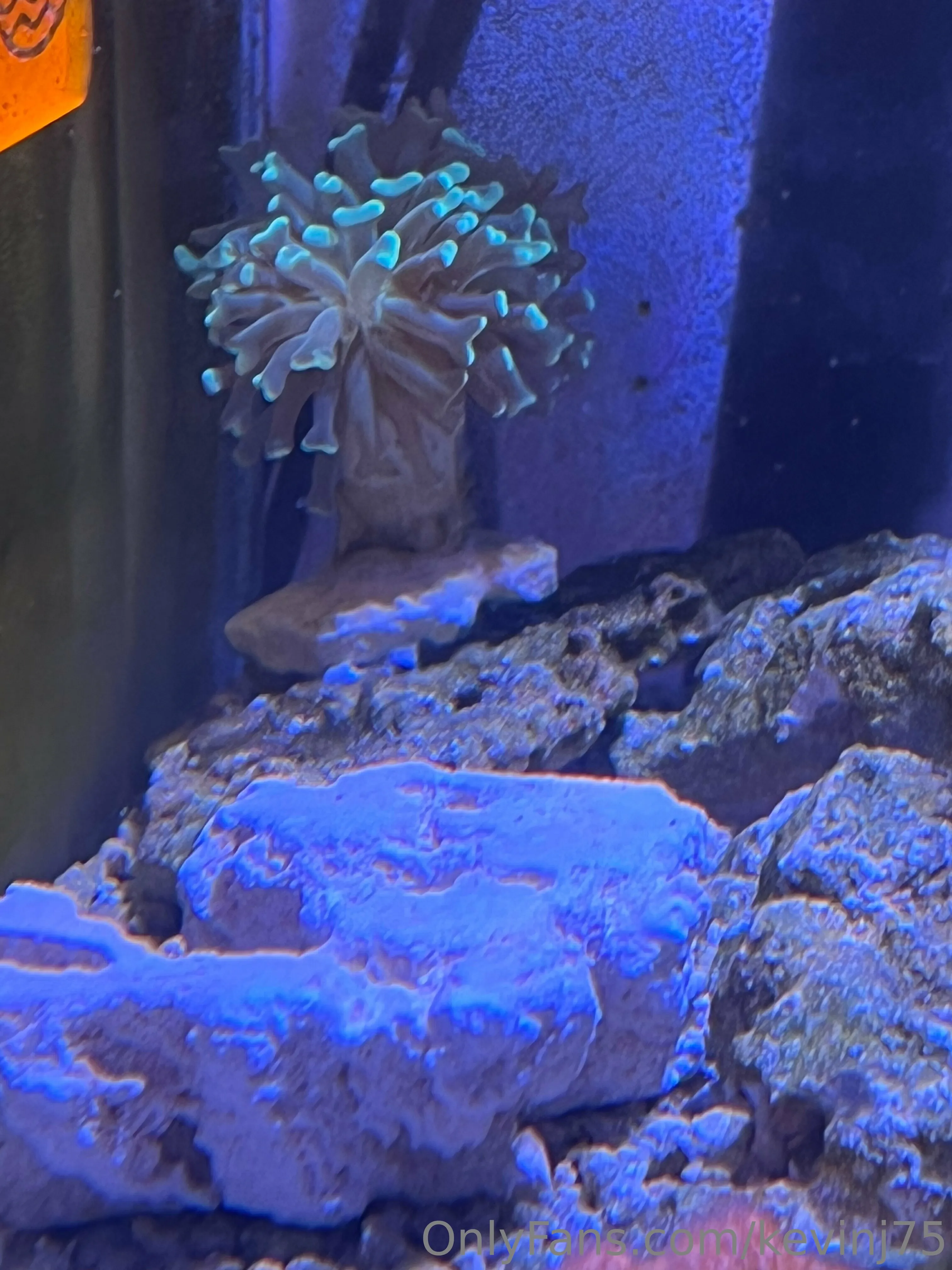 Kevinj75 OnlyFans leaked nude photo 41 - kevinj75 naked pics free download