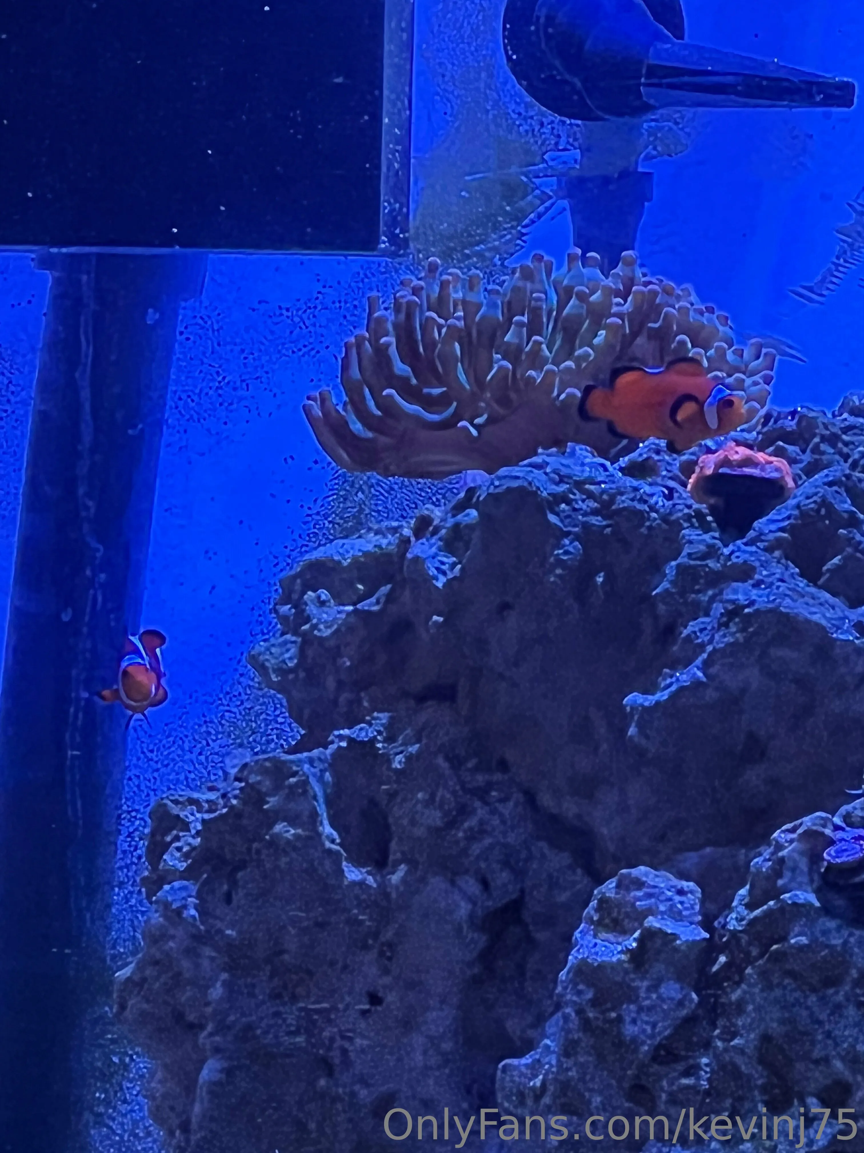 Kevinj75 OnlyFans leaked nude photo 35 - kevinj75 naked pics free download