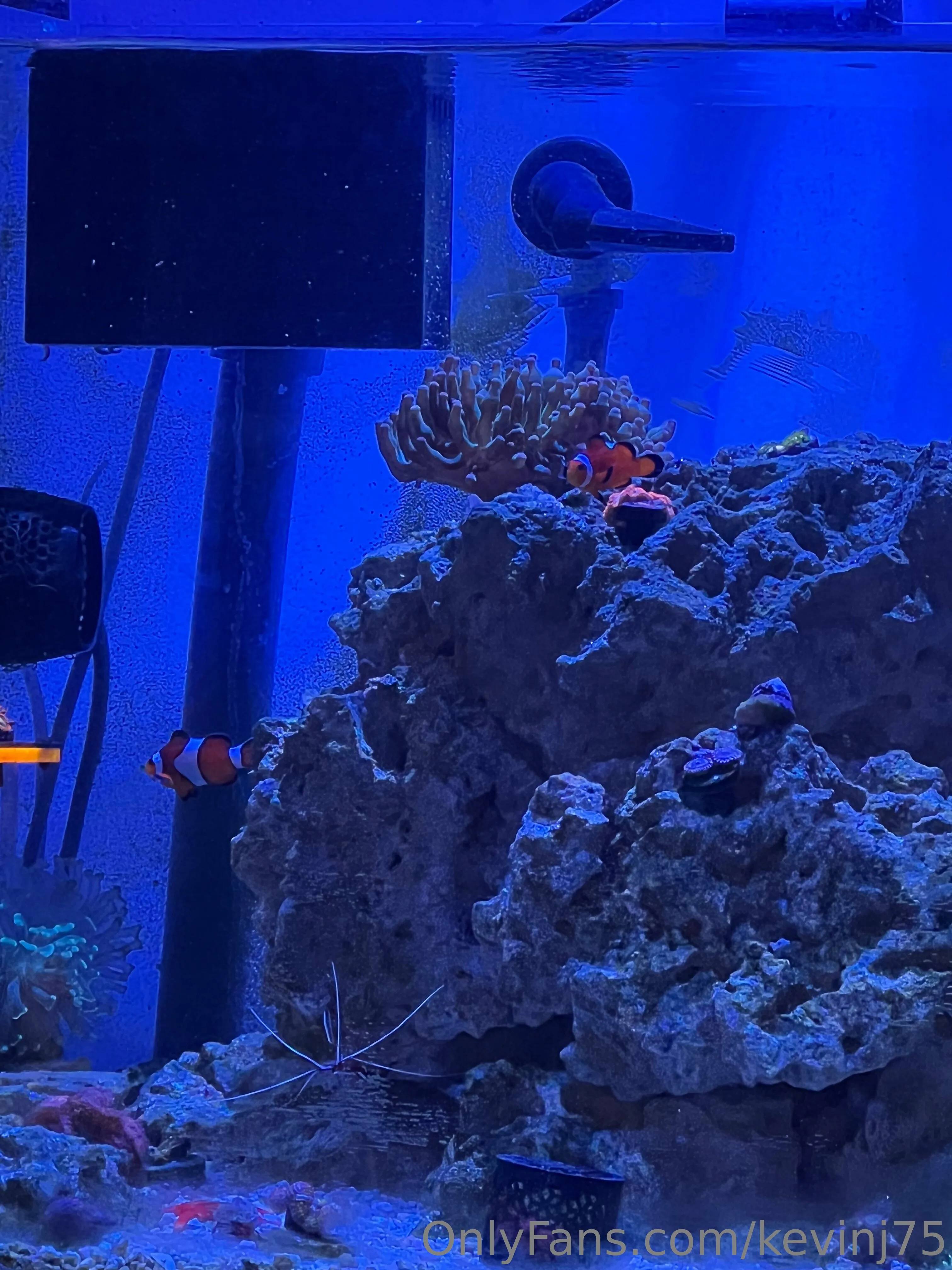 Kevinj75 OnlyFans leaked nude photo 34 - kevinj75 naked pics free download