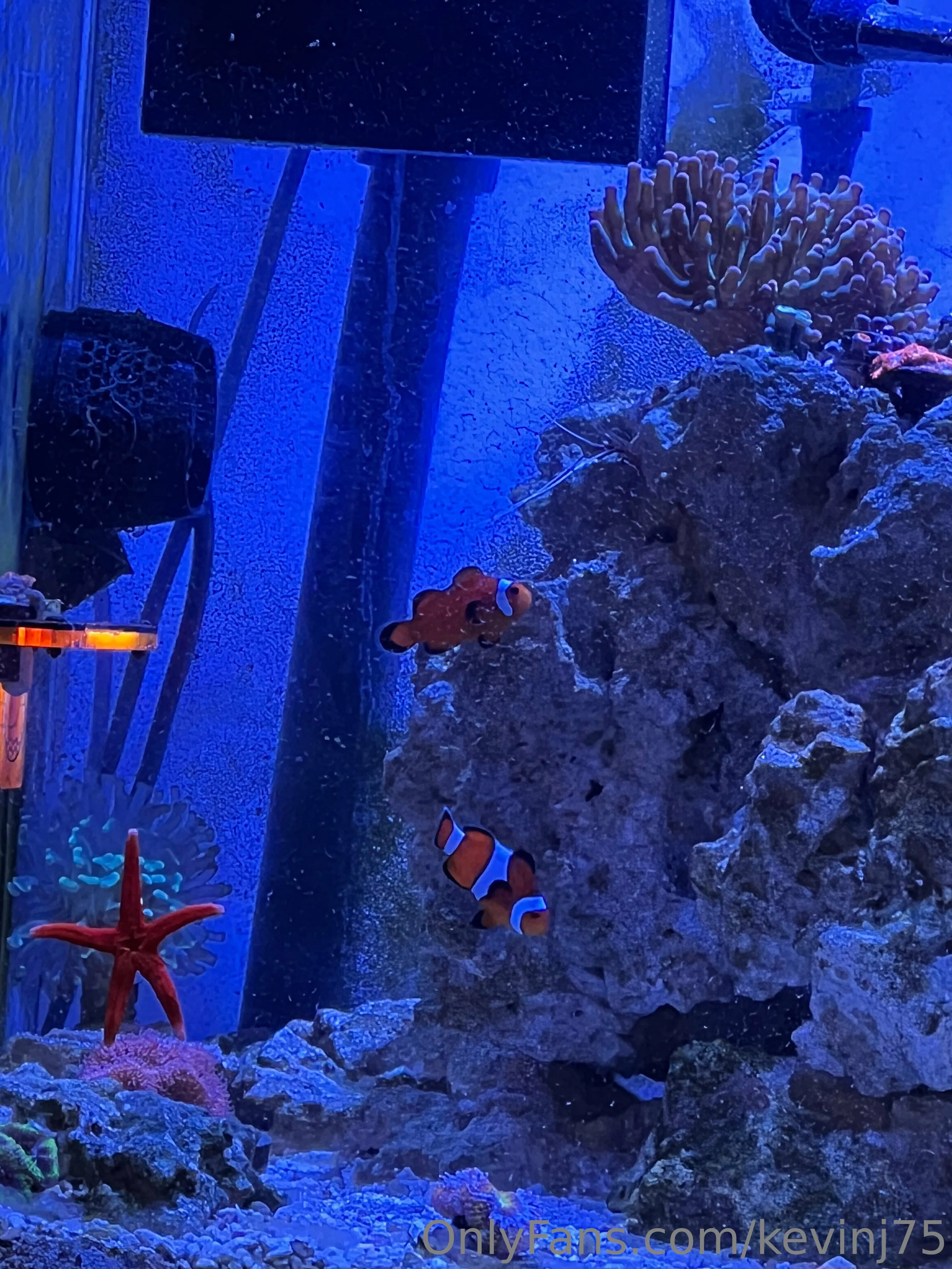 Kevinj75 OnlyFans leaked nude photo 33 - kevinj75 naked pics free download