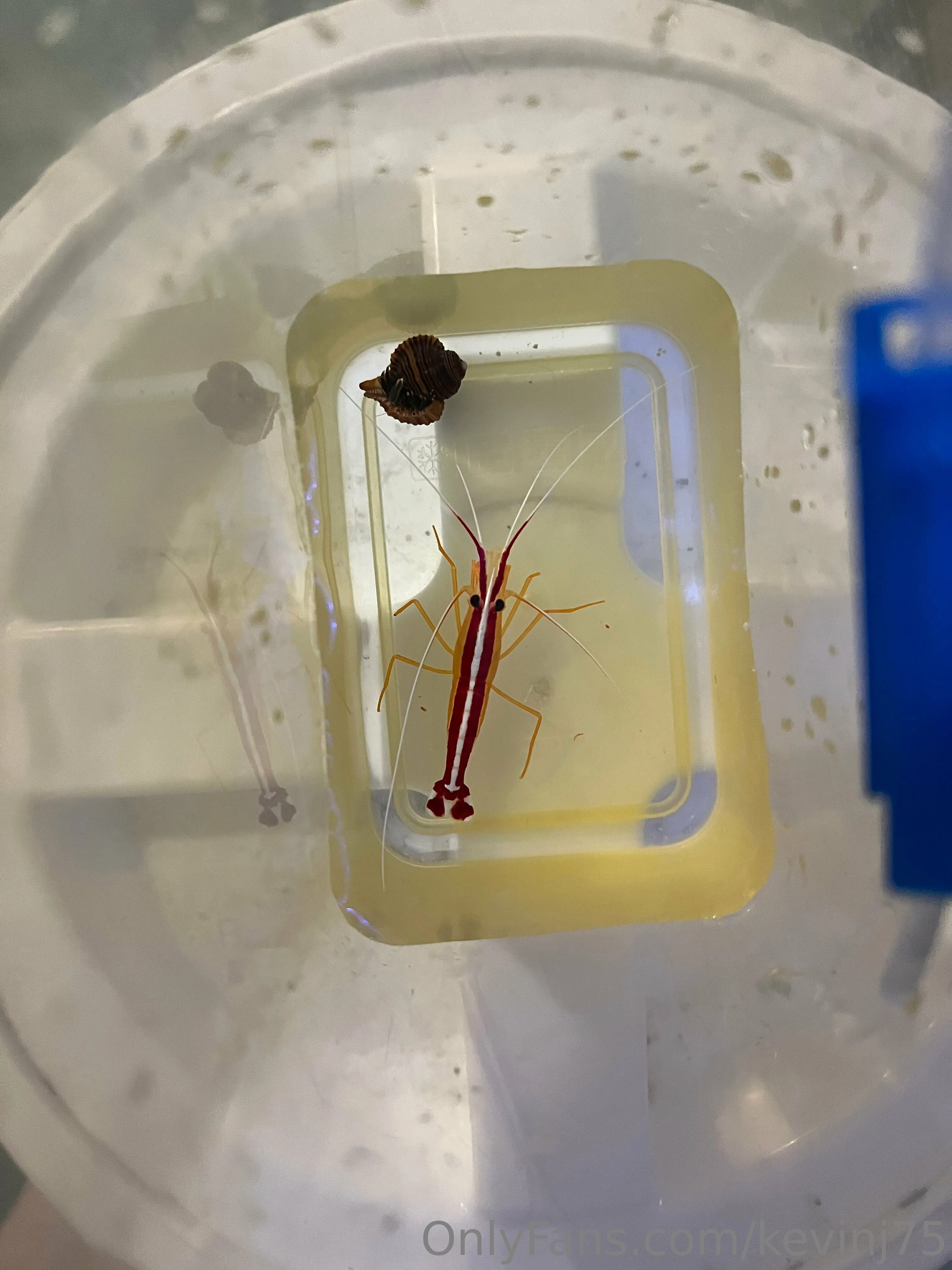 Kevinj75 OnlyFans leaked nude photo 32 - kevinj75 naked pics free download