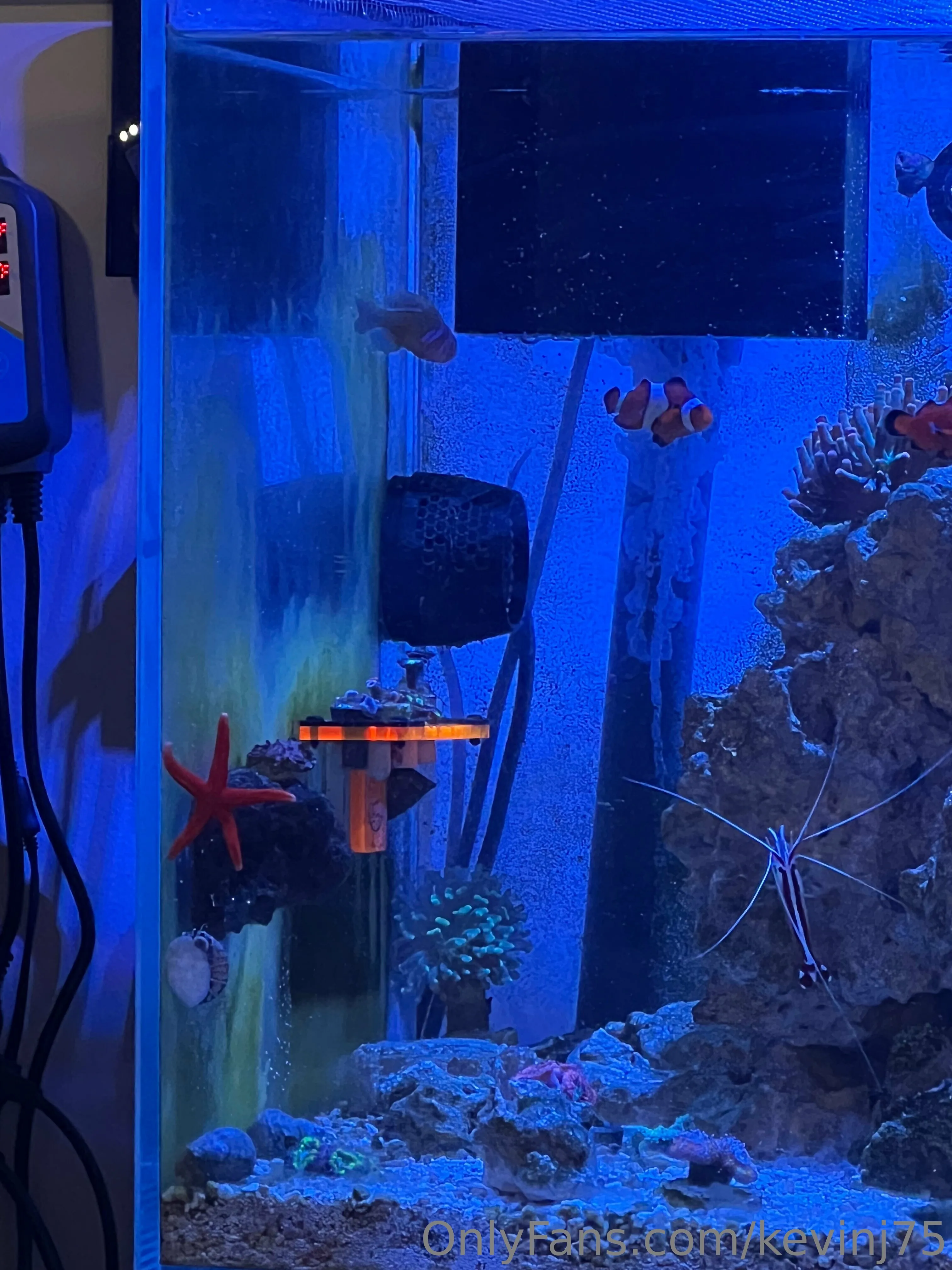 Kevinj75 OnlyFans leaked nude photo 30 - kevinj75 naked pics free download