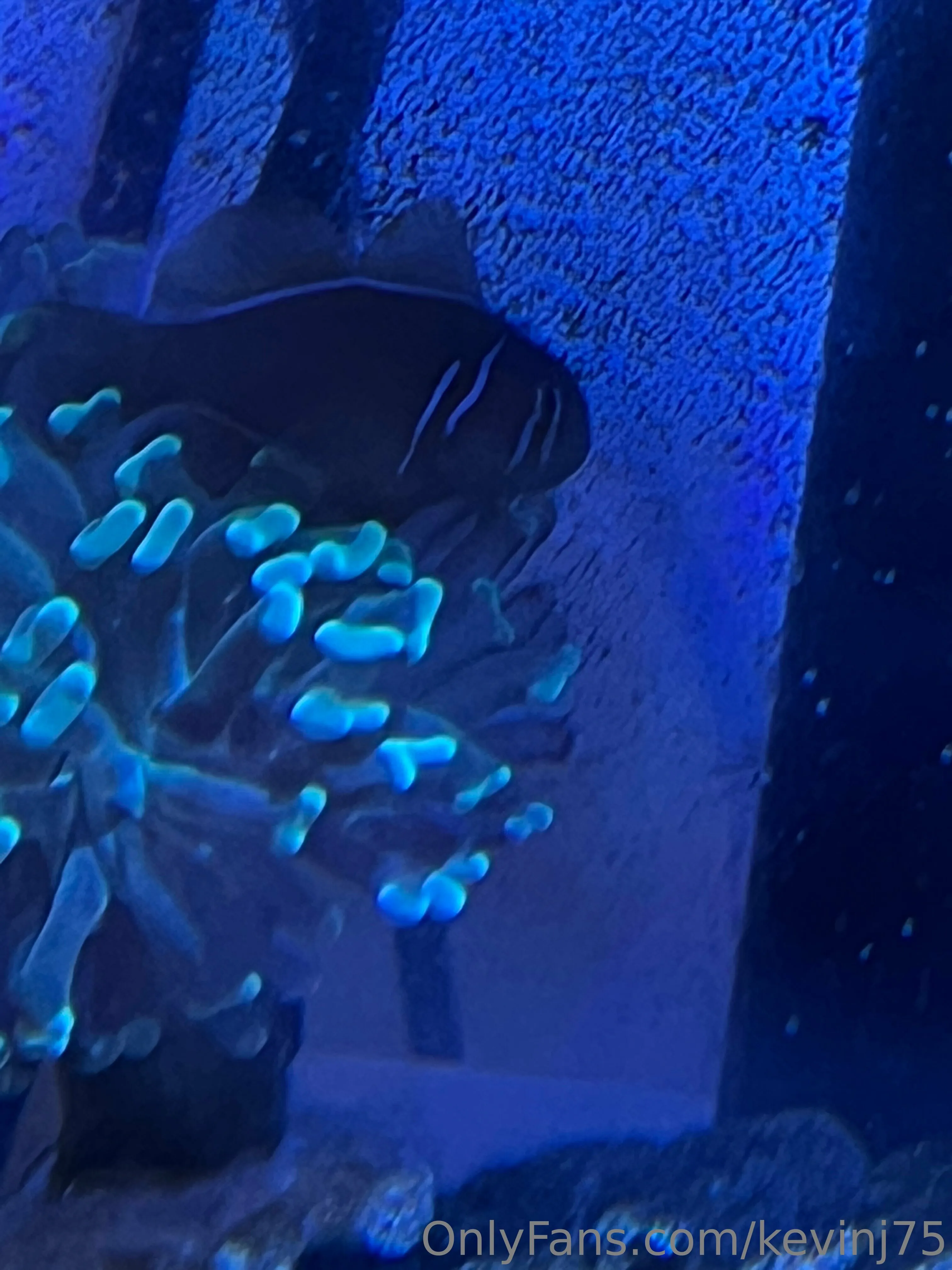 Kevinj75 OnlyFans leaked nude photo 29 - kevinj75 naked pics free download